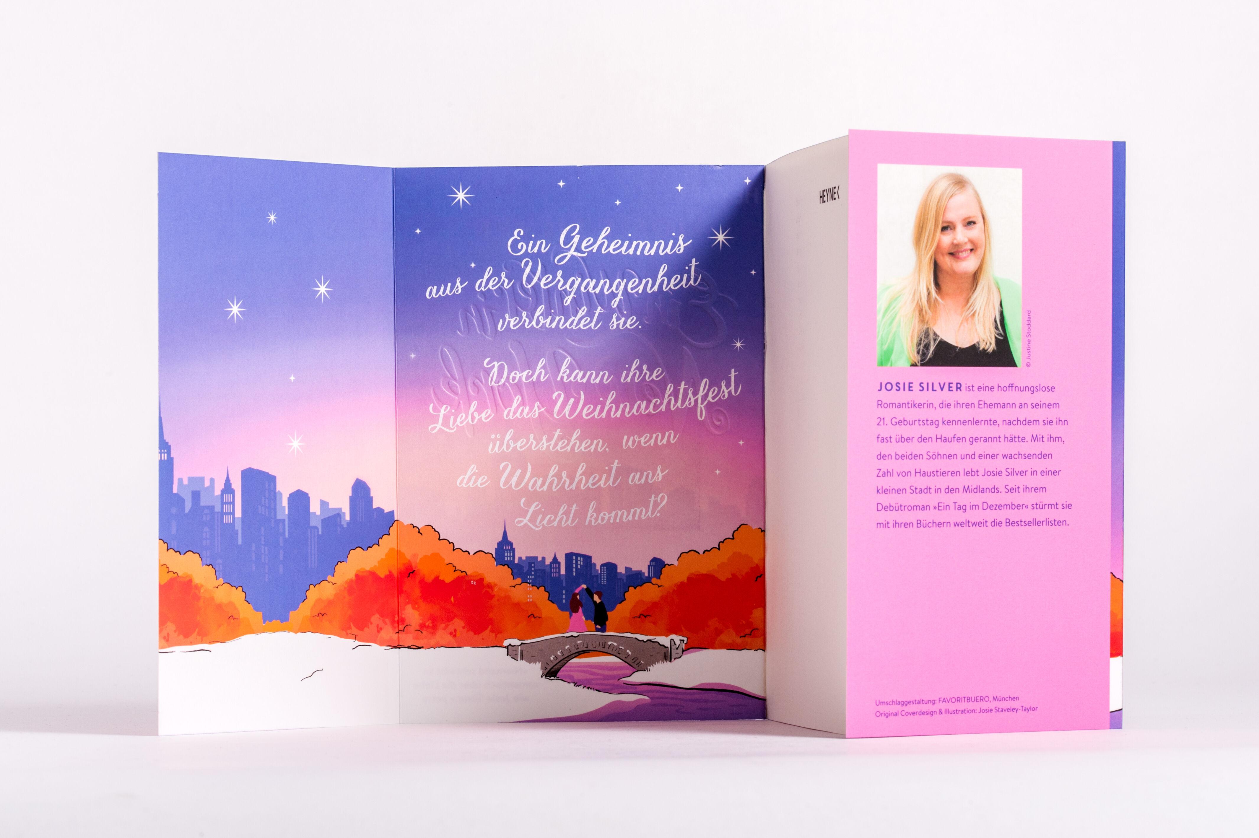 Beispielinhalt (Bild) Ein Winter in New York