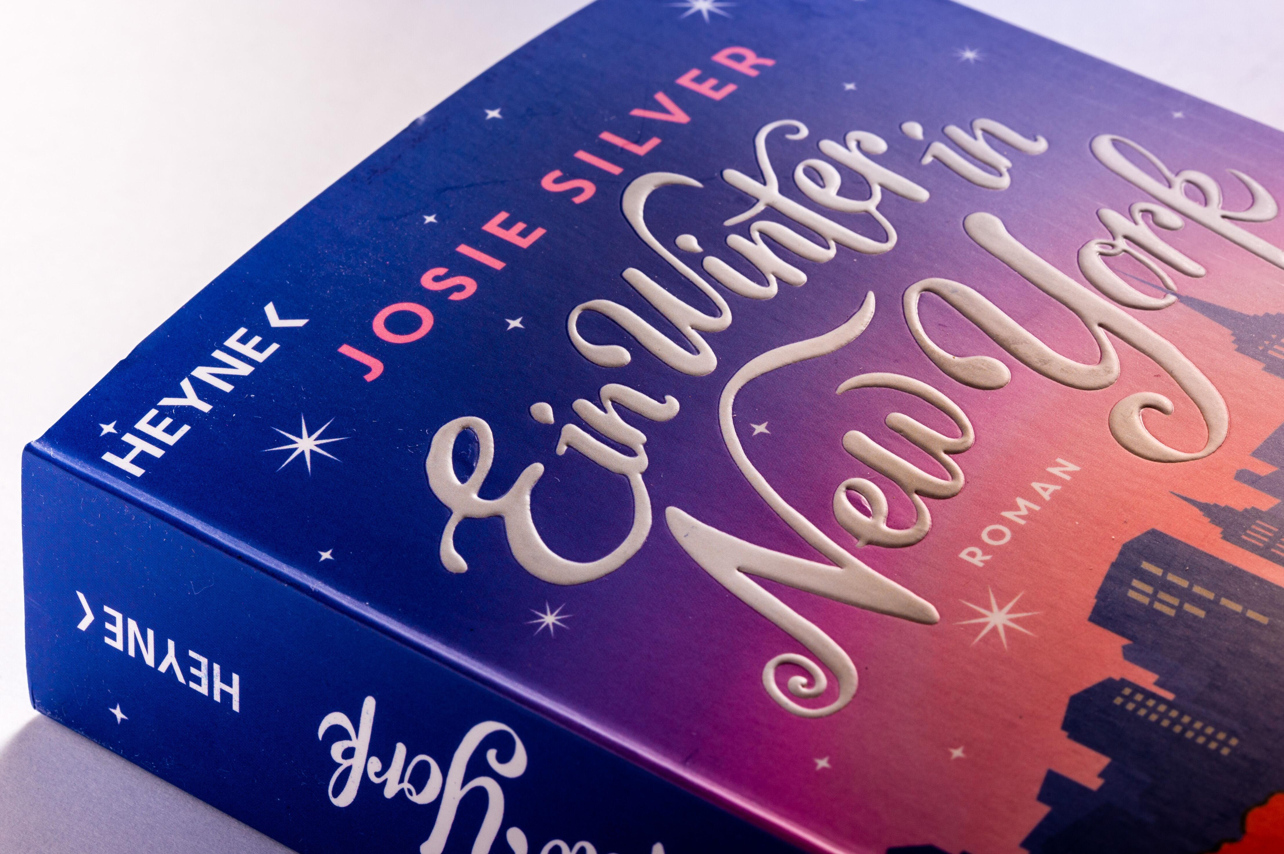 Beispielinhalt (Bild) Ein Winter in New York