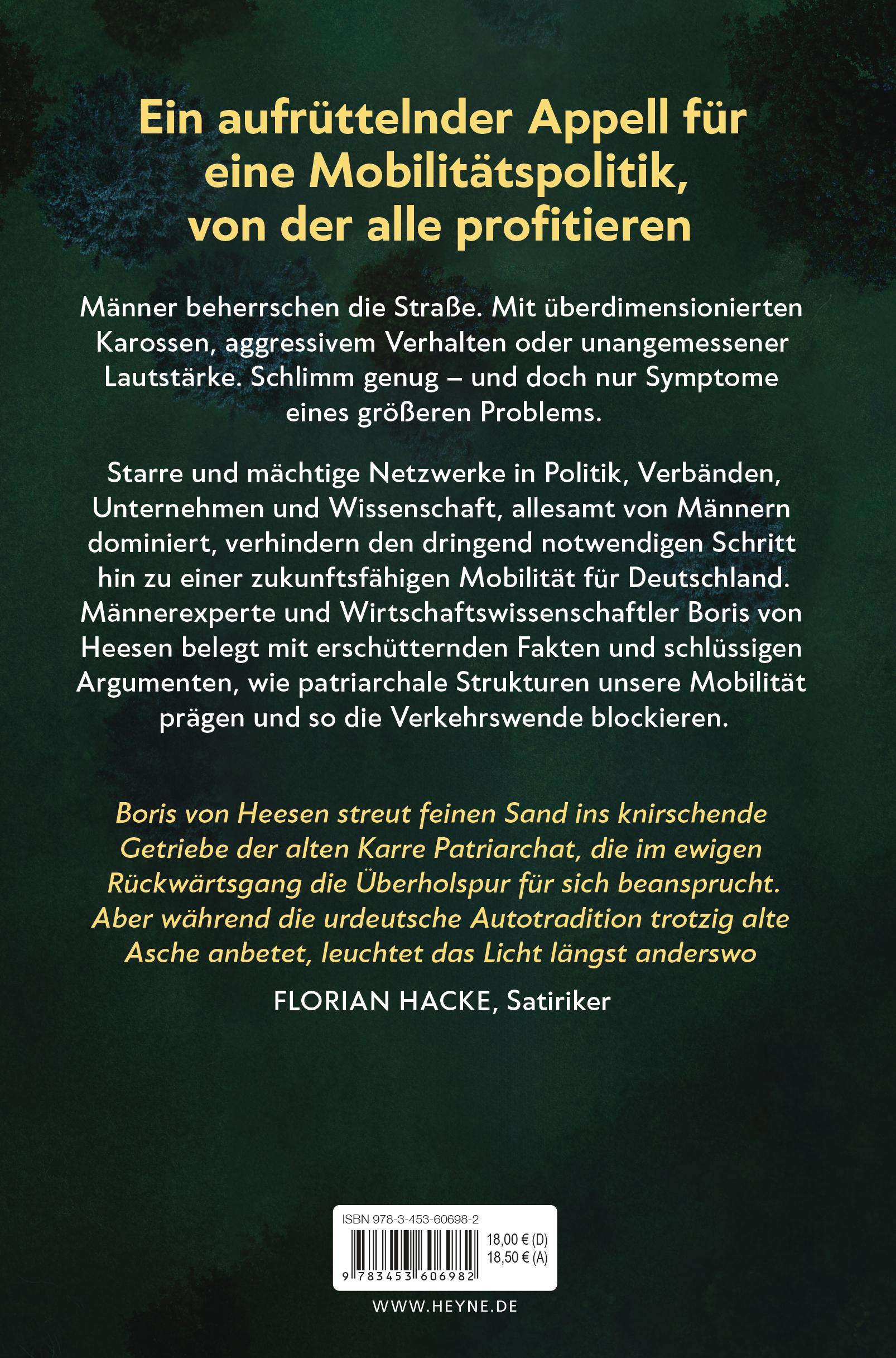 Beispielinhalt (Bild) Mann am Steuer