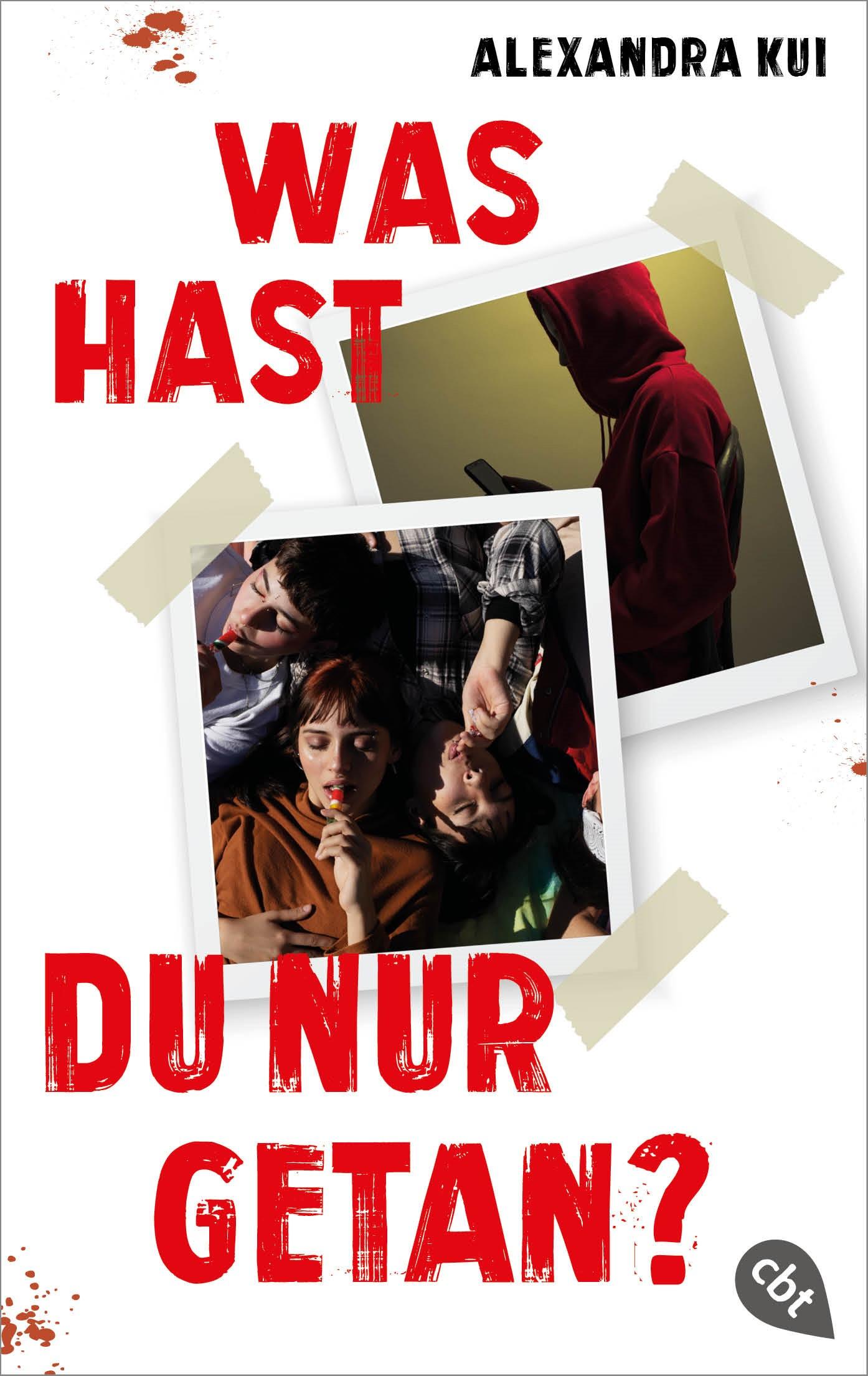 Vorderes Coverbild Was hast du nur getan?