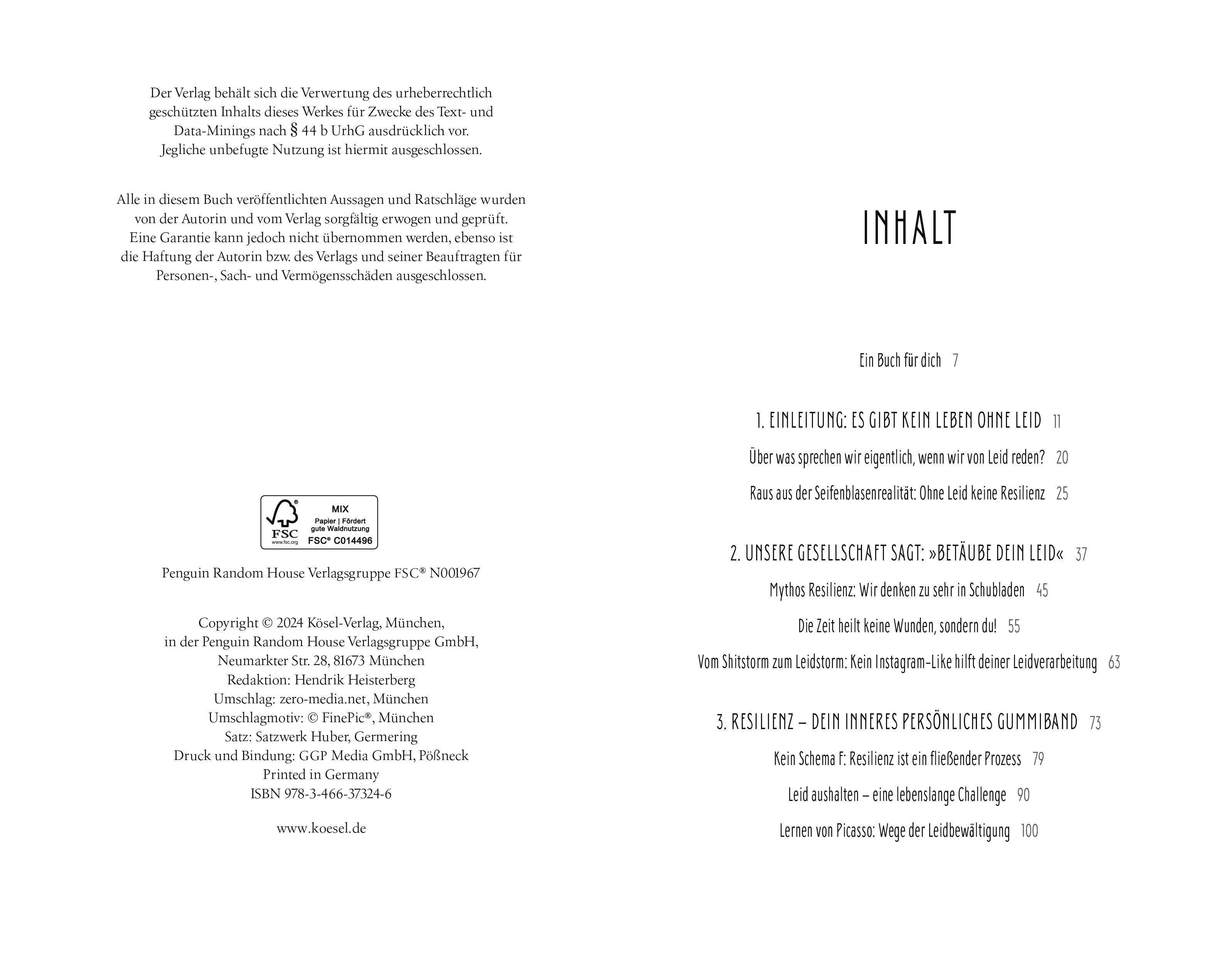 Beispielinhalt (Bild) Leid - Die emotionalen Wellen des Lebens