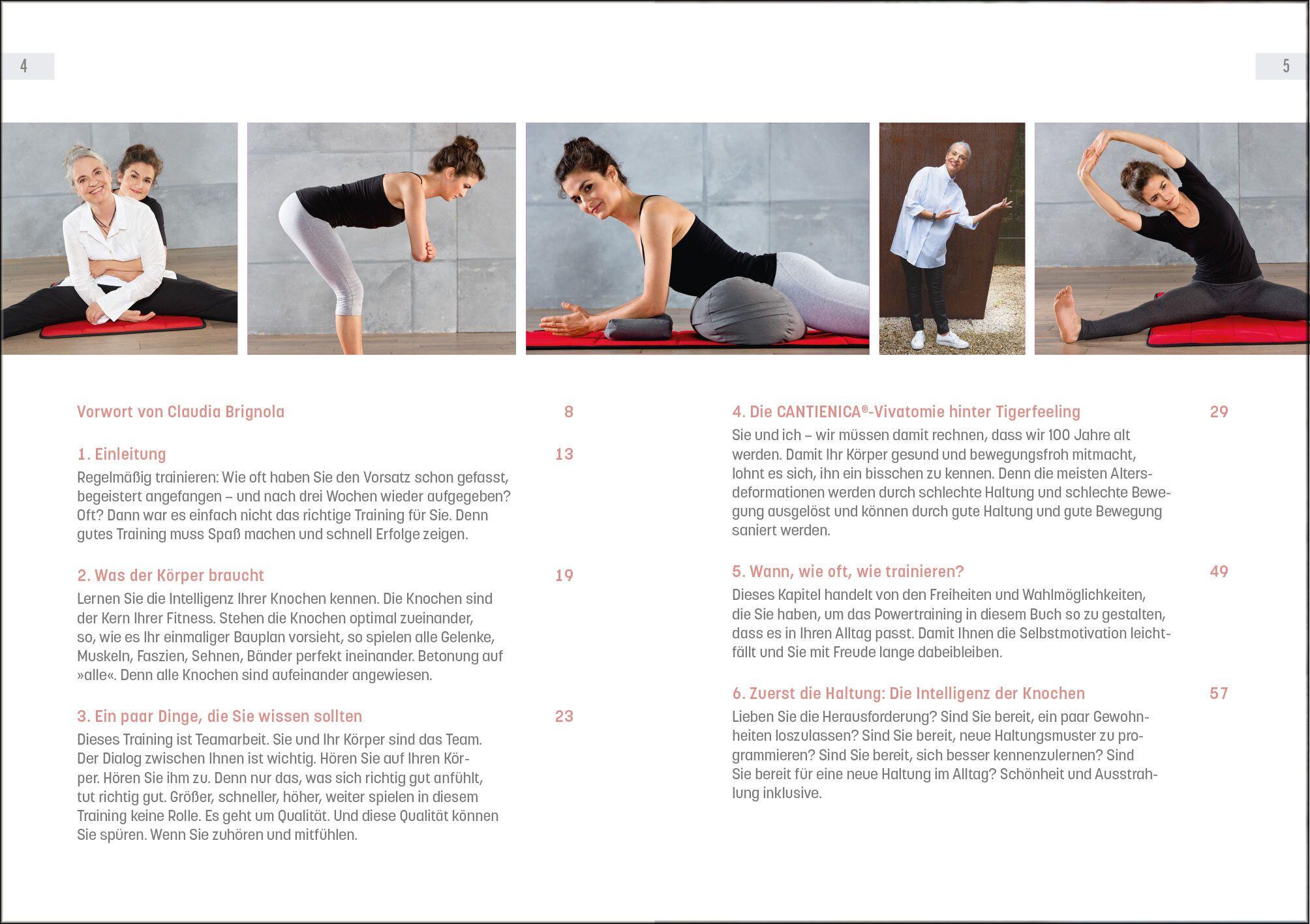 Beispielinhalt (Bild) Powertraining mit Tigerfeeling