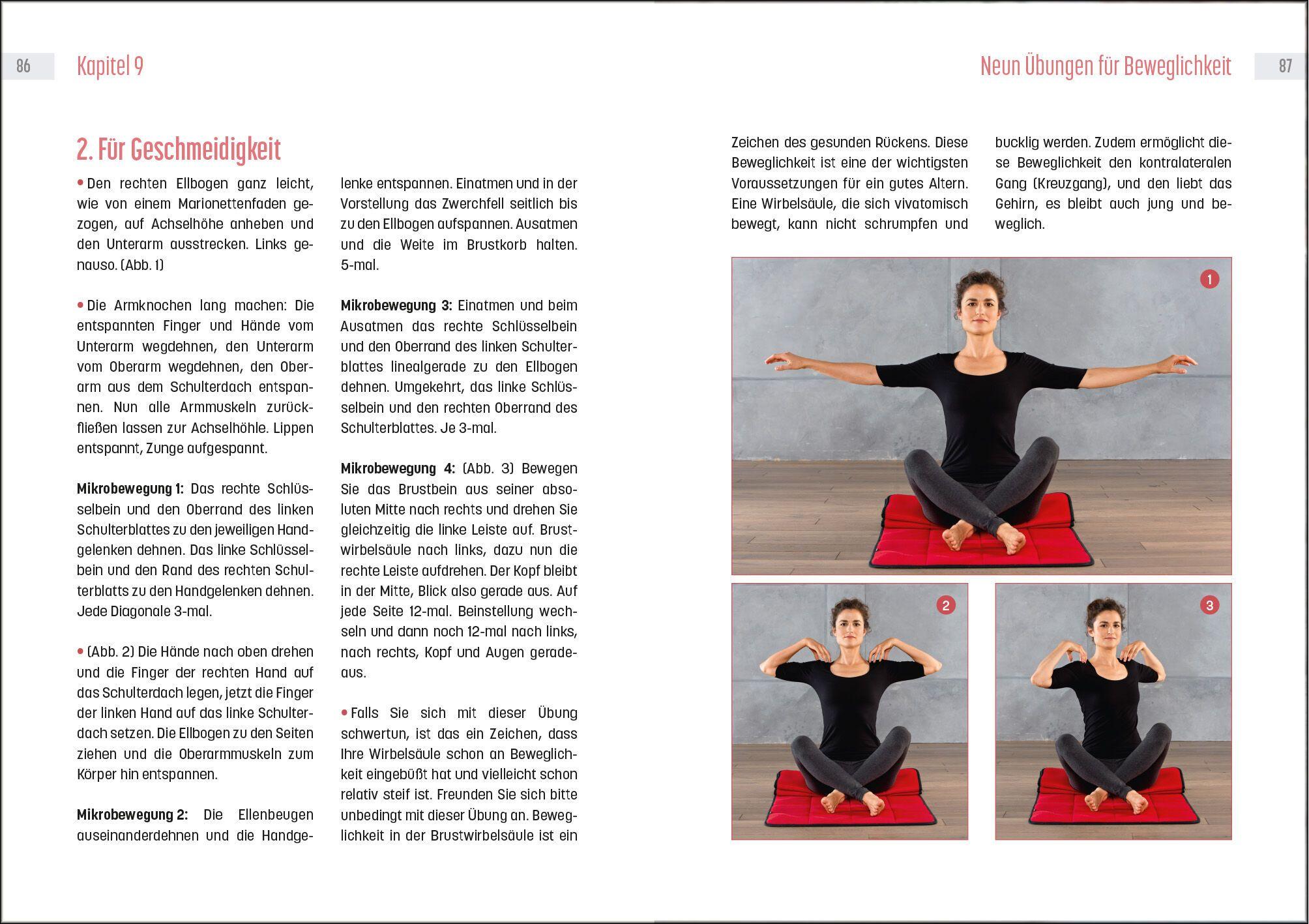 Beispielinhalt (Bild) Powertraining mit Tigerfeeling