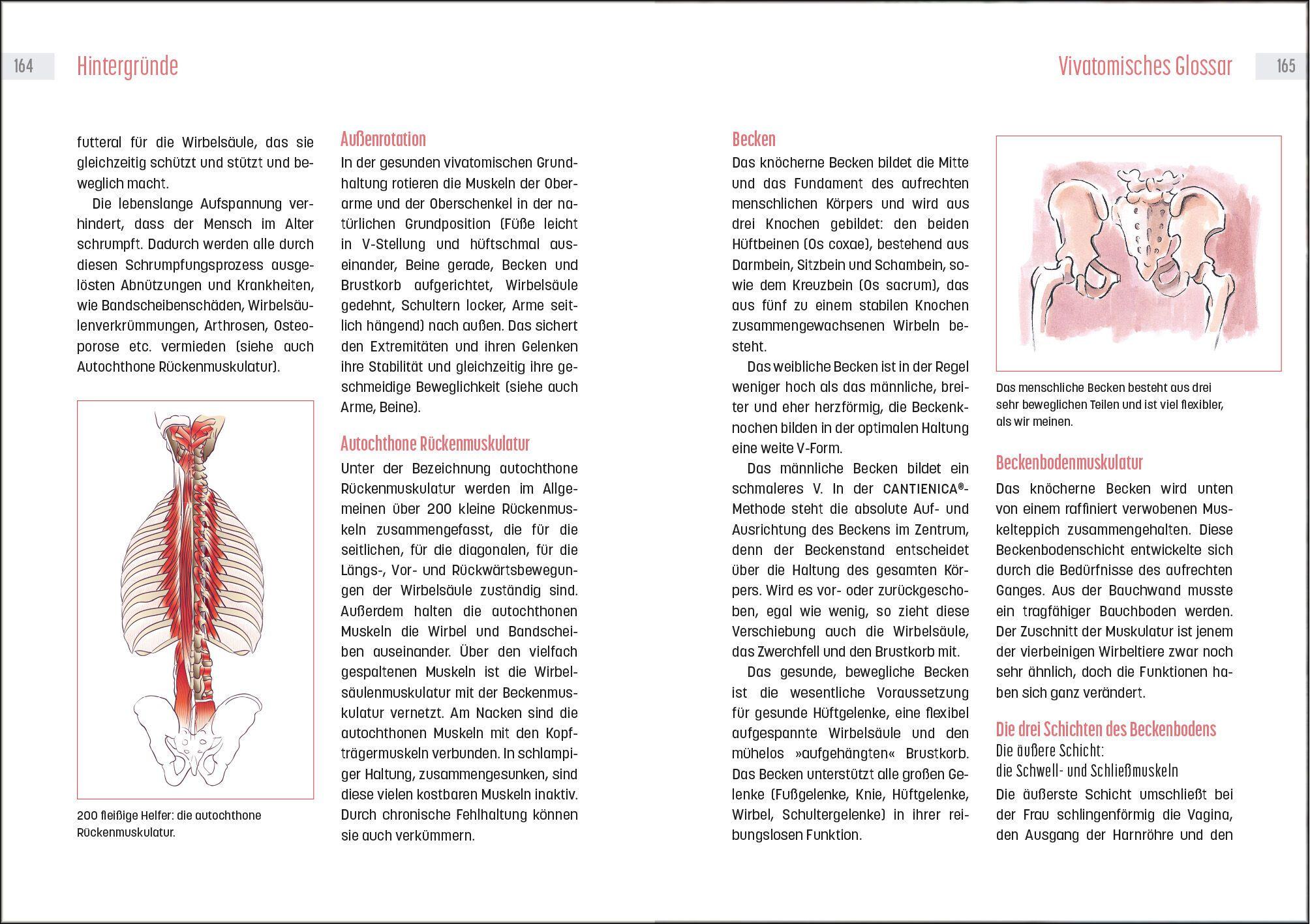 Beispielinhalt (Bild) Rückbildung mit Tigerfeeling