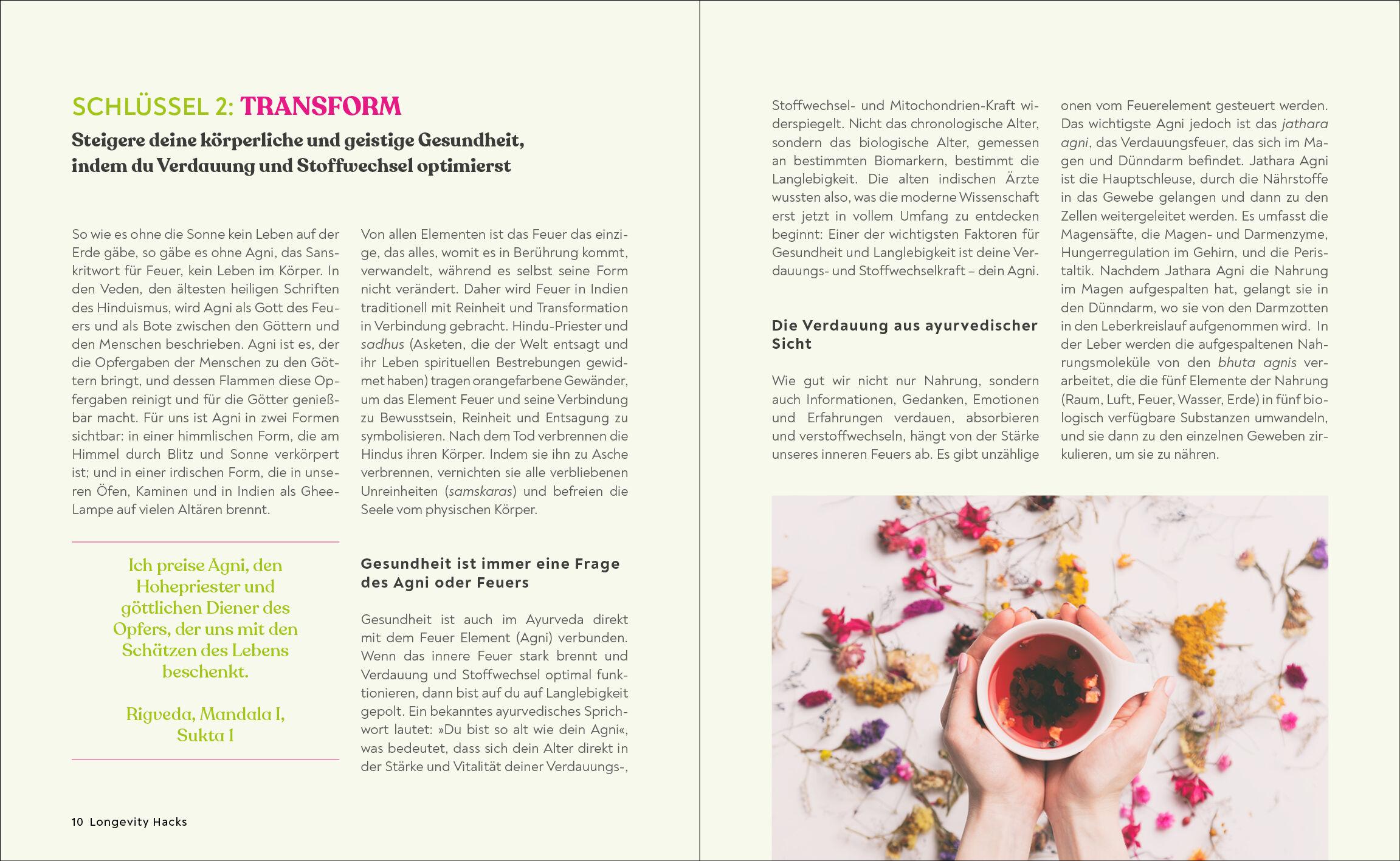 Beispielinhalt (Bild) Dein Ayurveda