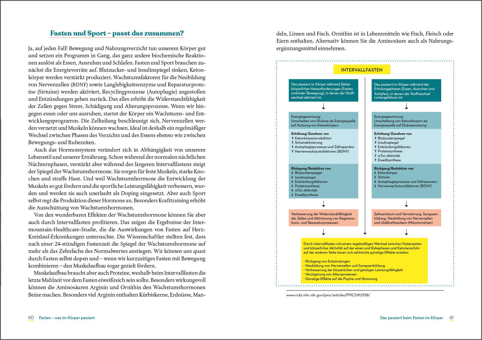 Beispielinhalt (Bild) Der neue Fasten-Code