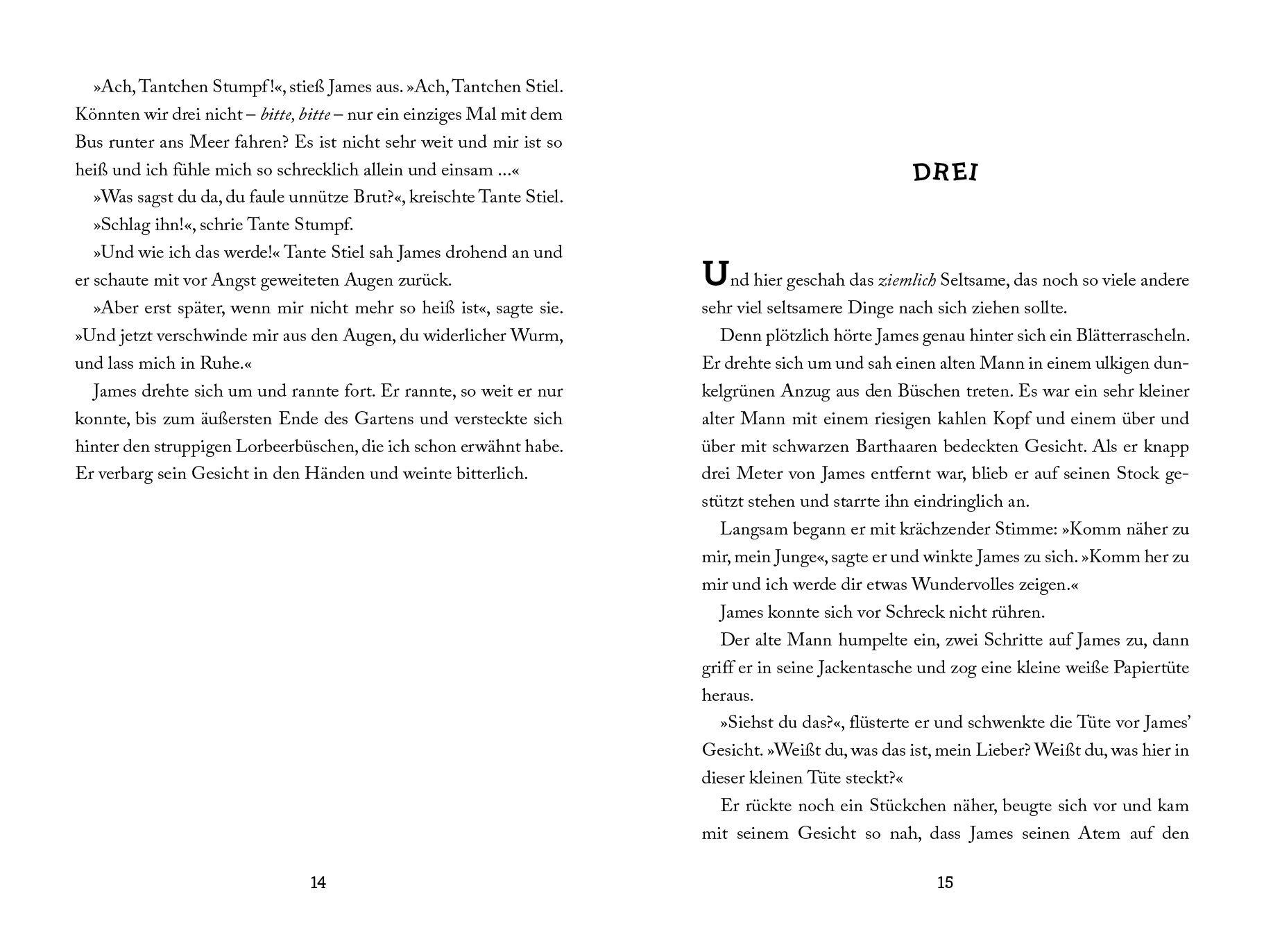 Beispielinhalt (Bild) James und der Riesenpfirsich