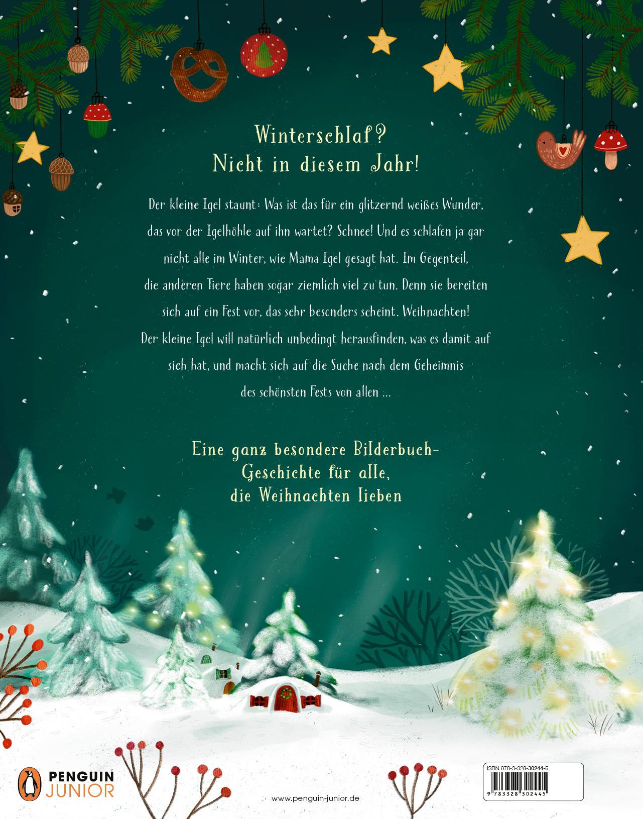 Beispielinhalt (Bild) Das schönste Weihnachtsfest von allen