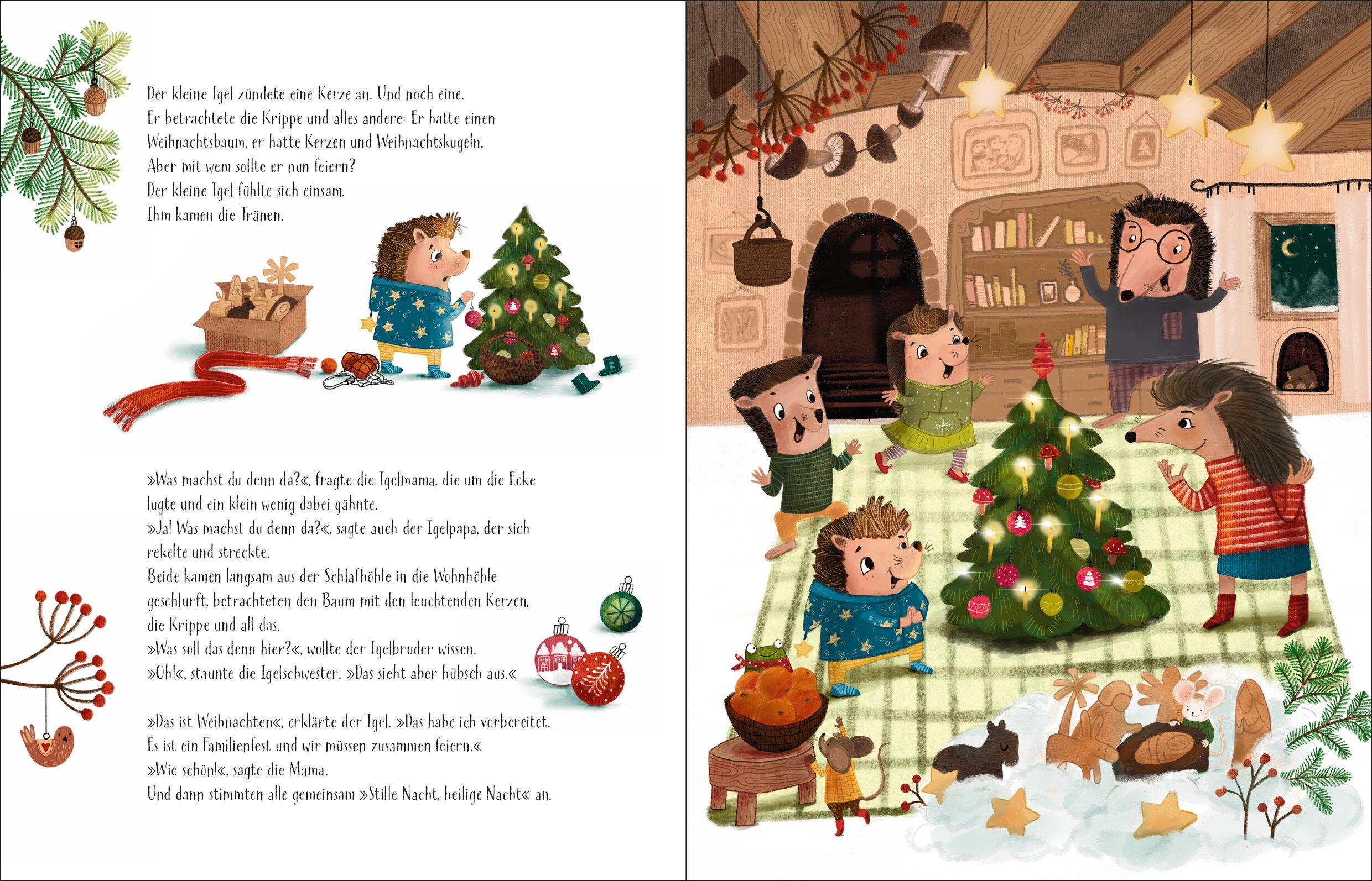 Beispielinhalt (Bild) Das schönste Weihnachtsfest von allen