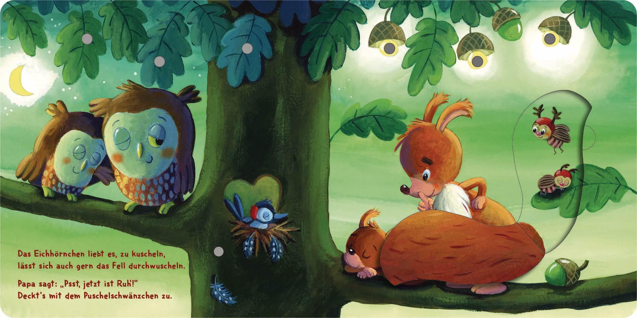 Beispielinhalt (Bild) Mein Lichter-Klappen-Buch - Ins Bett gehüpft, unter die Decke geschlüpft