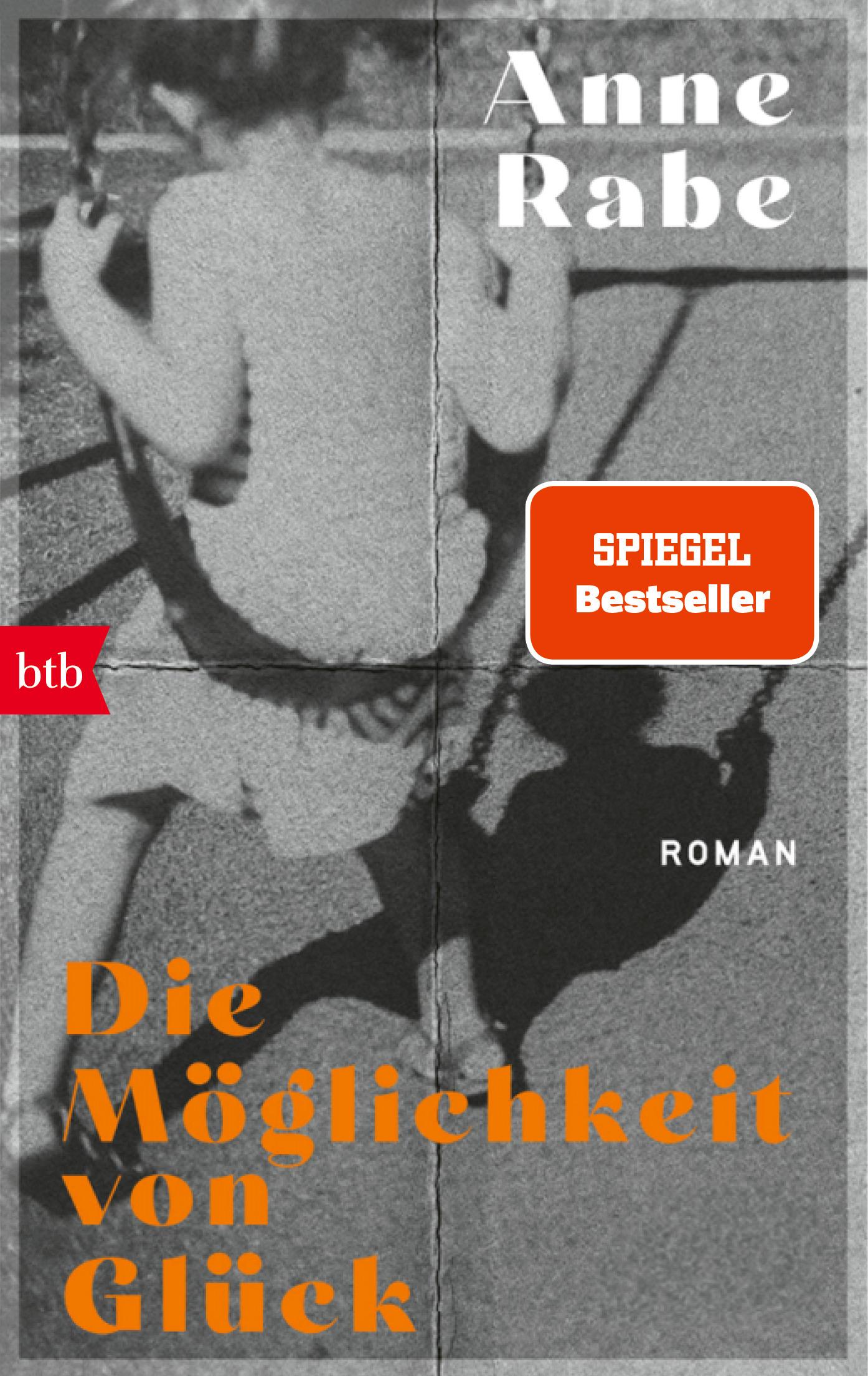 Vorderes Coverbild Die Möglichkeit von Glück