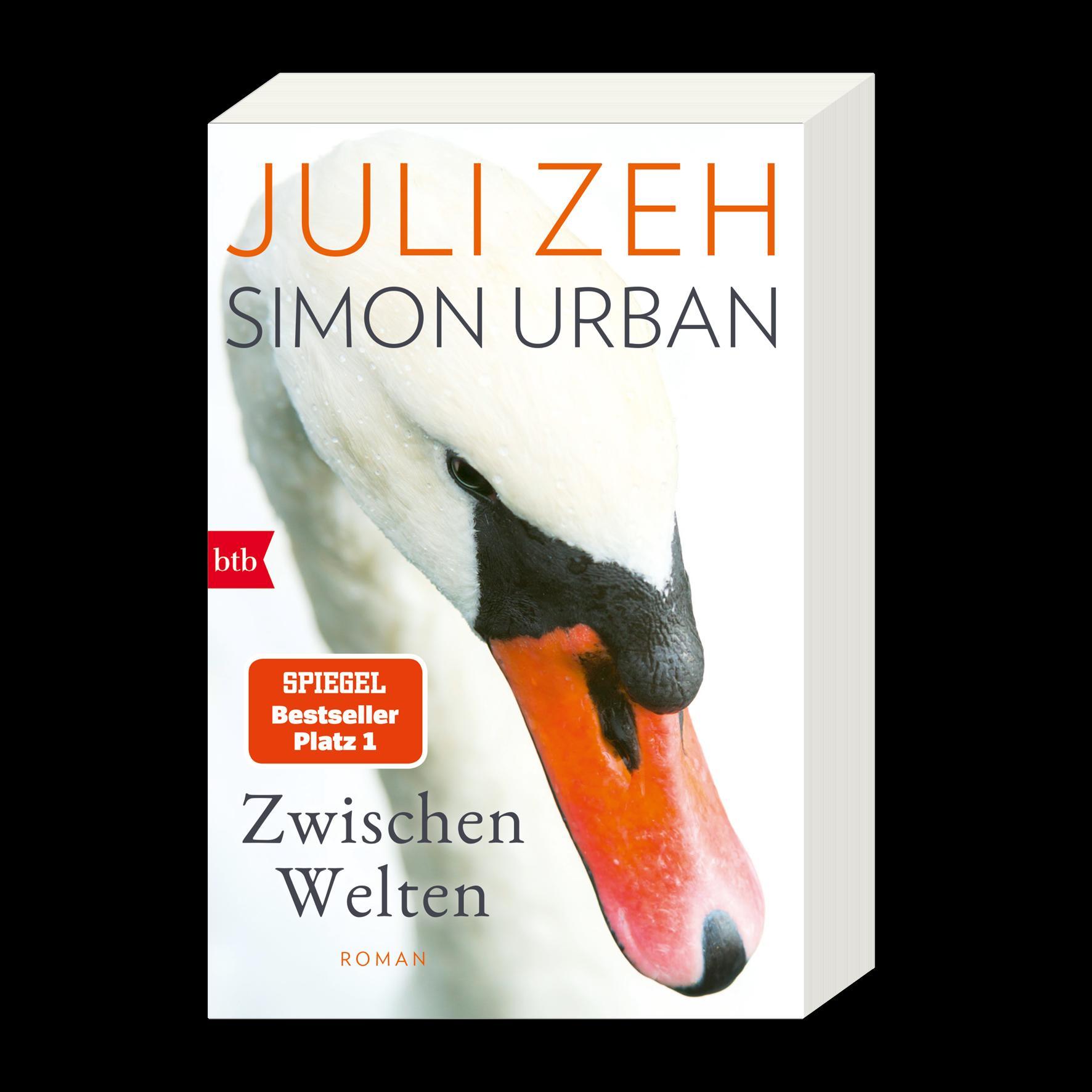 Beispielinhalt (Bild) Zwischen Welten