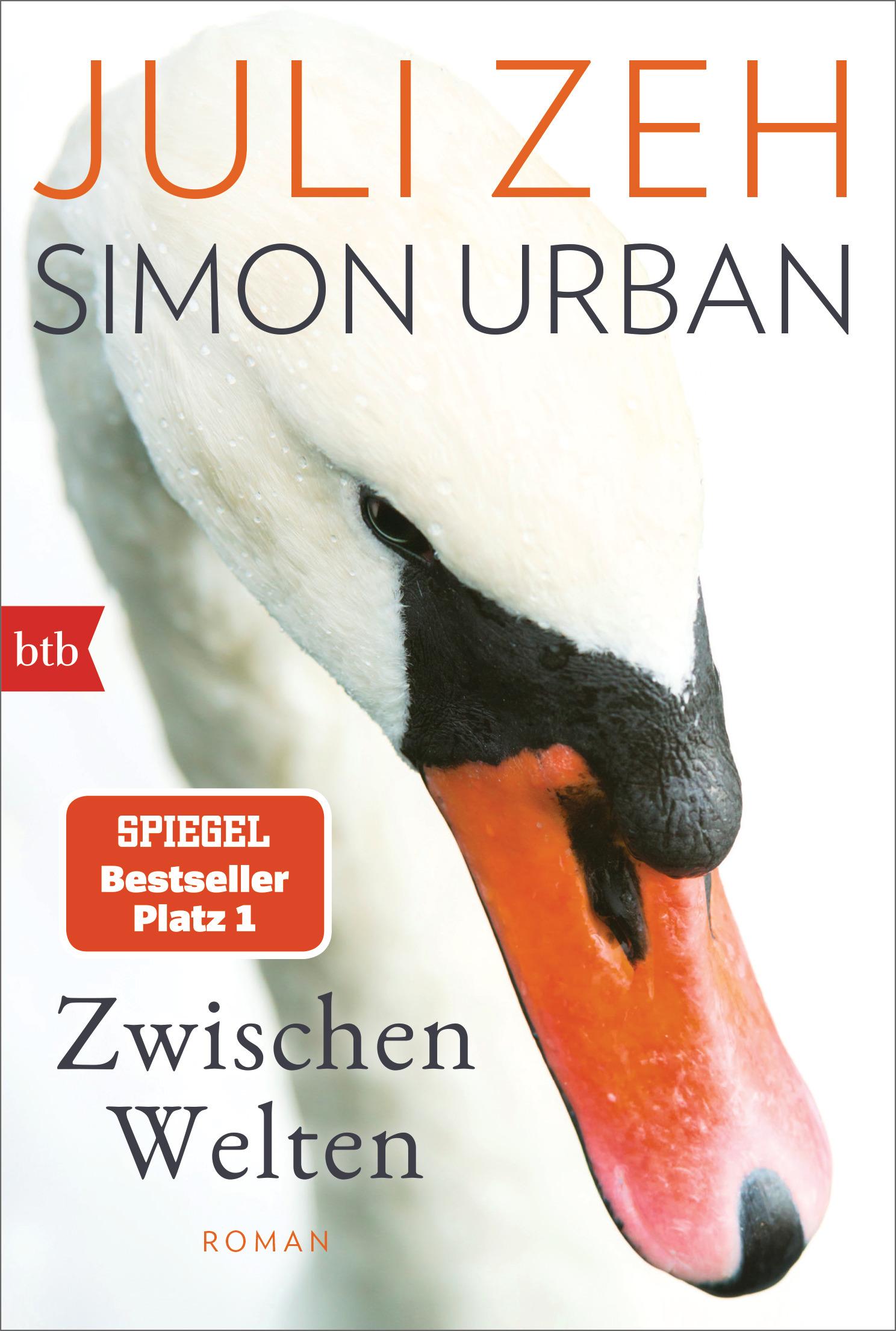 Vorderes Coverbild Zwischen Welten