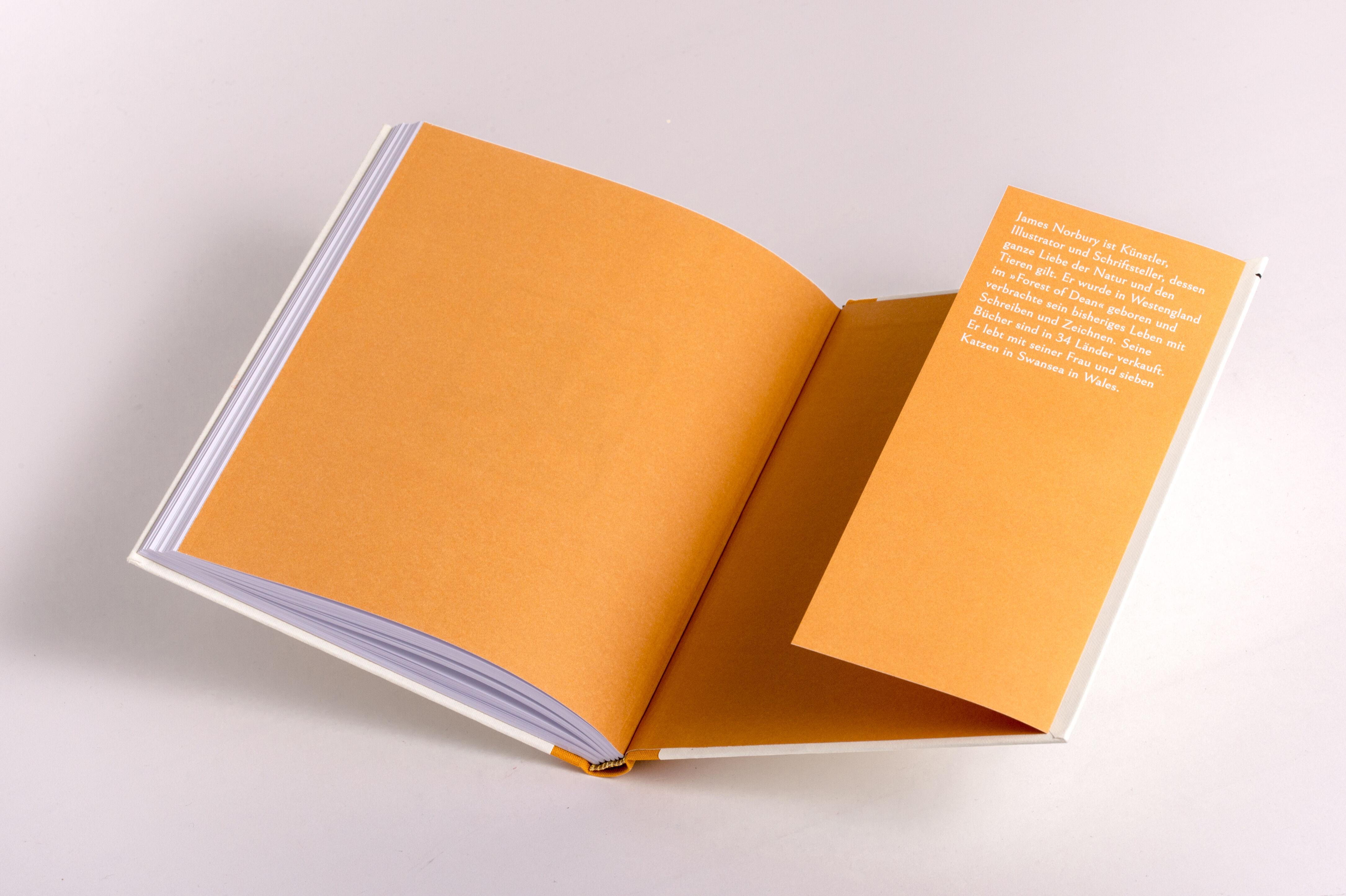 Beispielinhalt (Bild) Die Katze, die nach Weisheit sucht