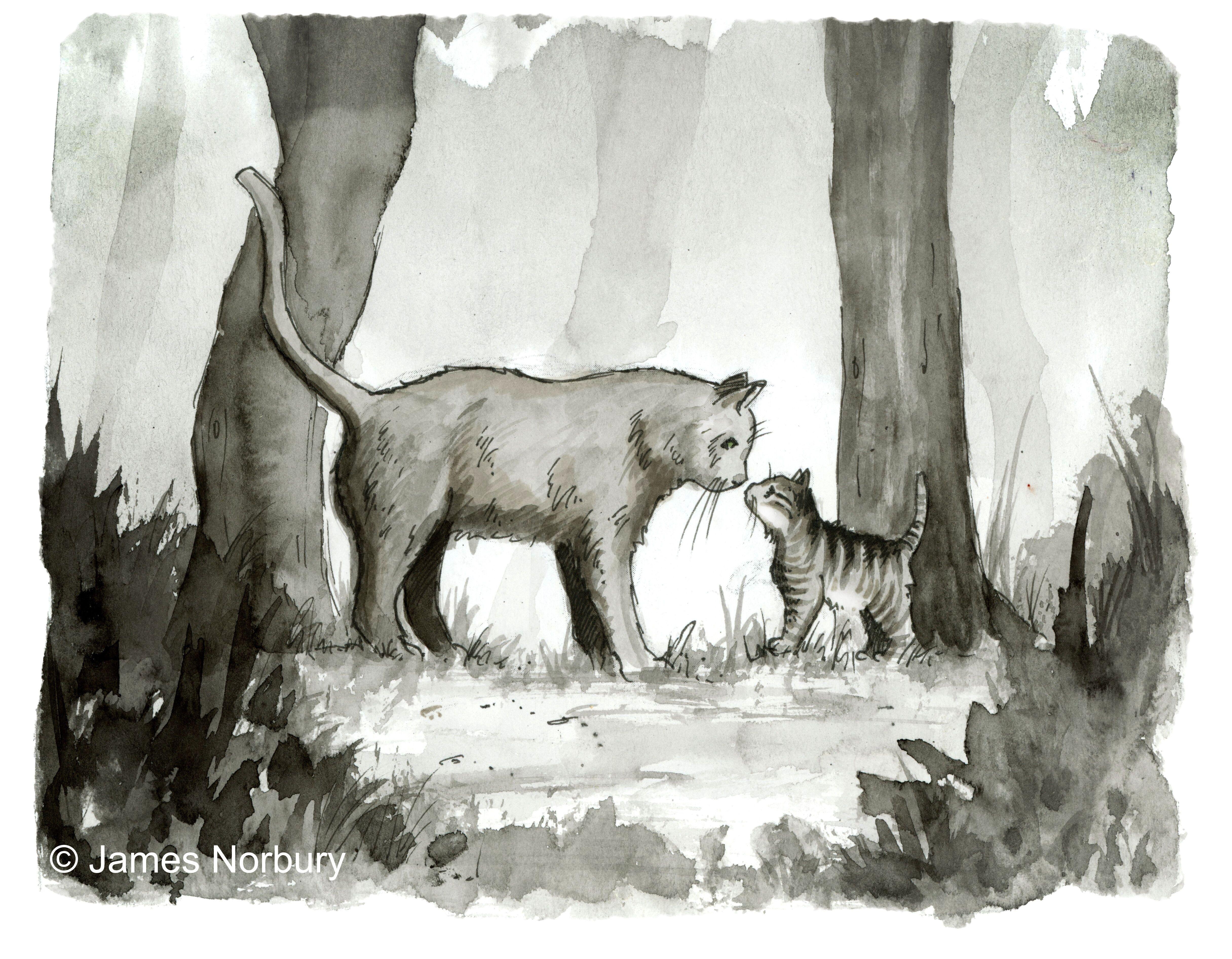 Beispielinhalt (Bild) Die Katze, die nach Weisheit sucht