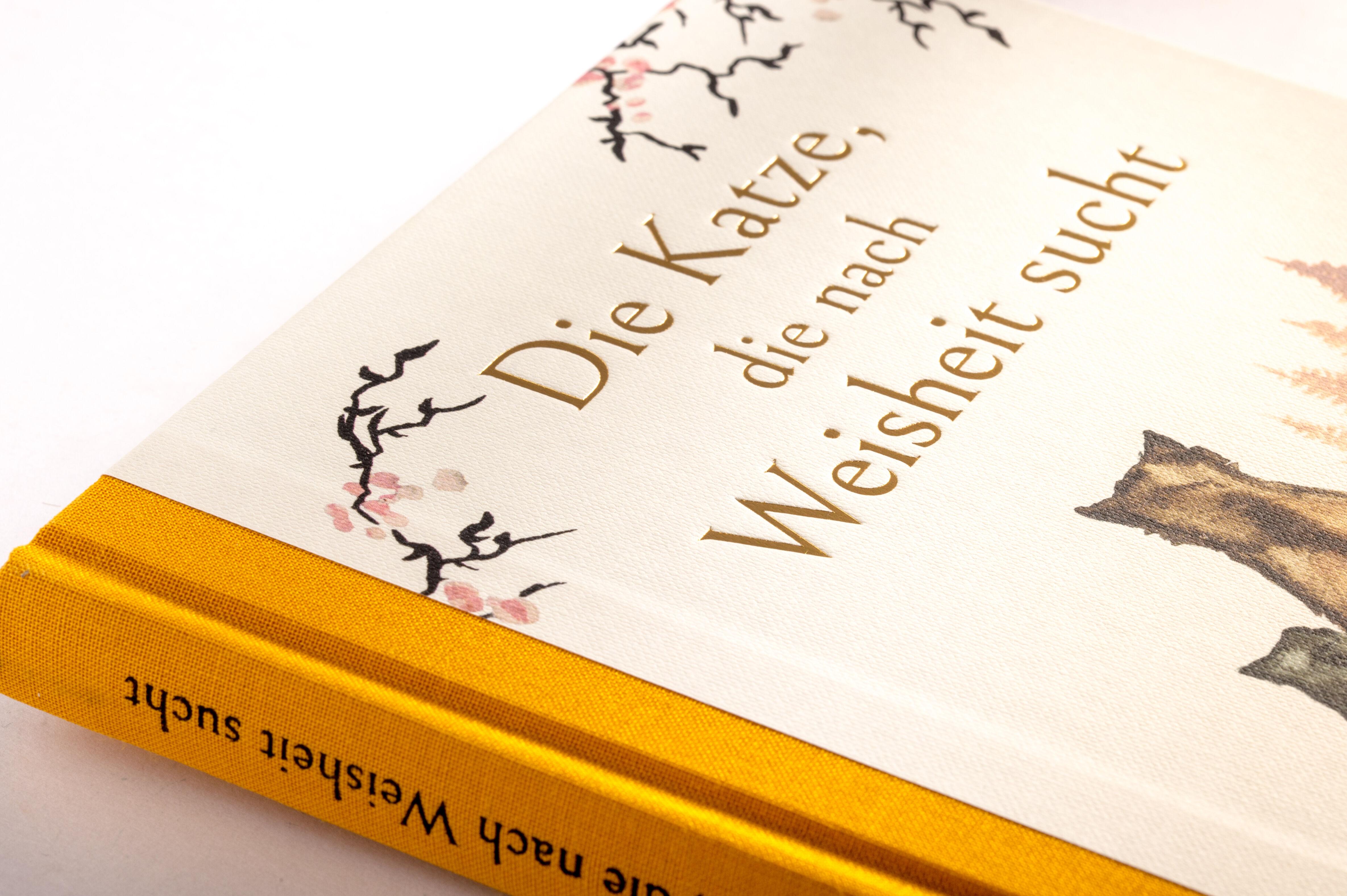 Beispielinhalt (Bild) Die Katze, die nach Weisheit sucht