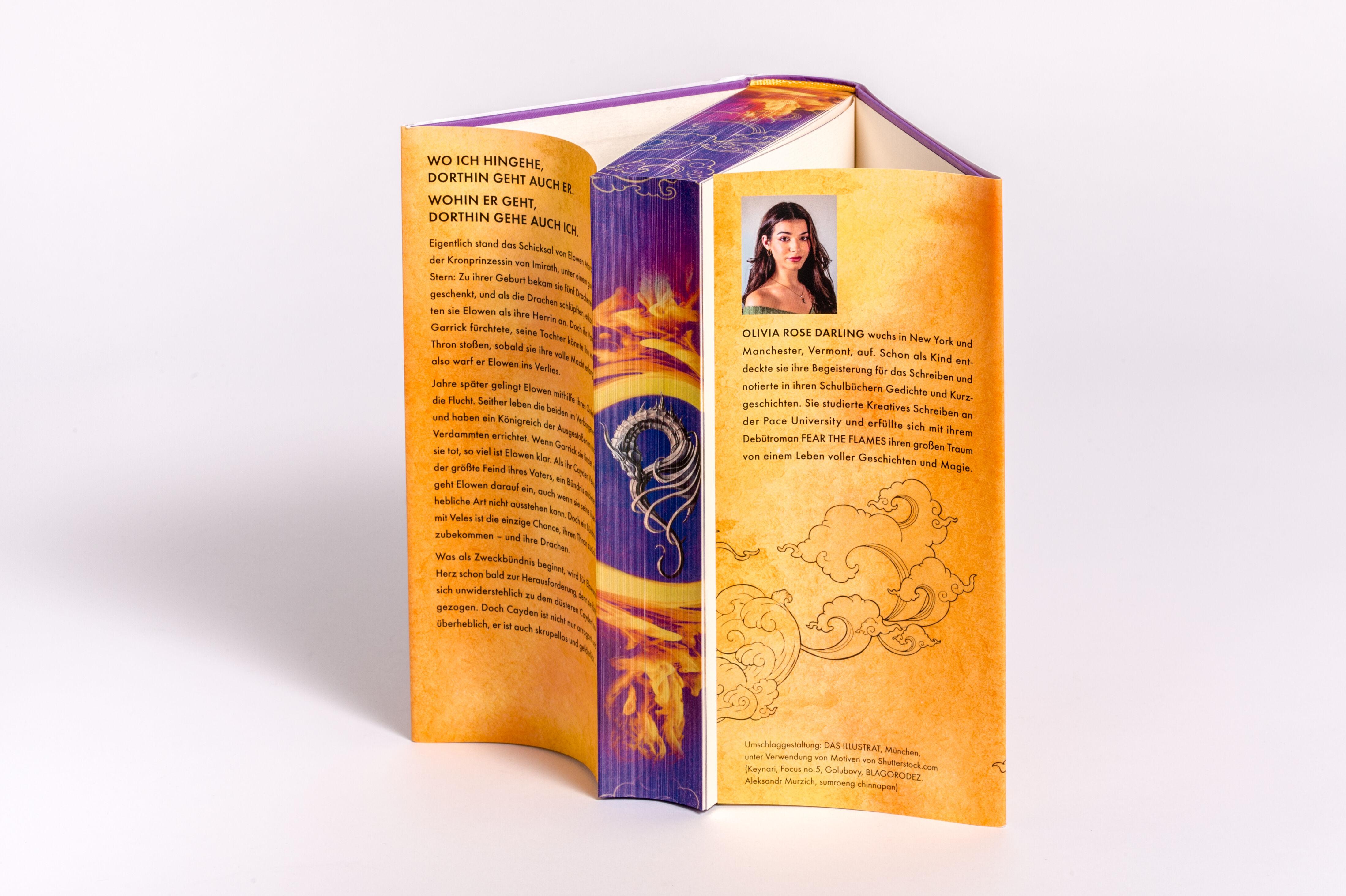 Beispielinhalt (Bild) Fear the Flames - Die Drachenkönigin