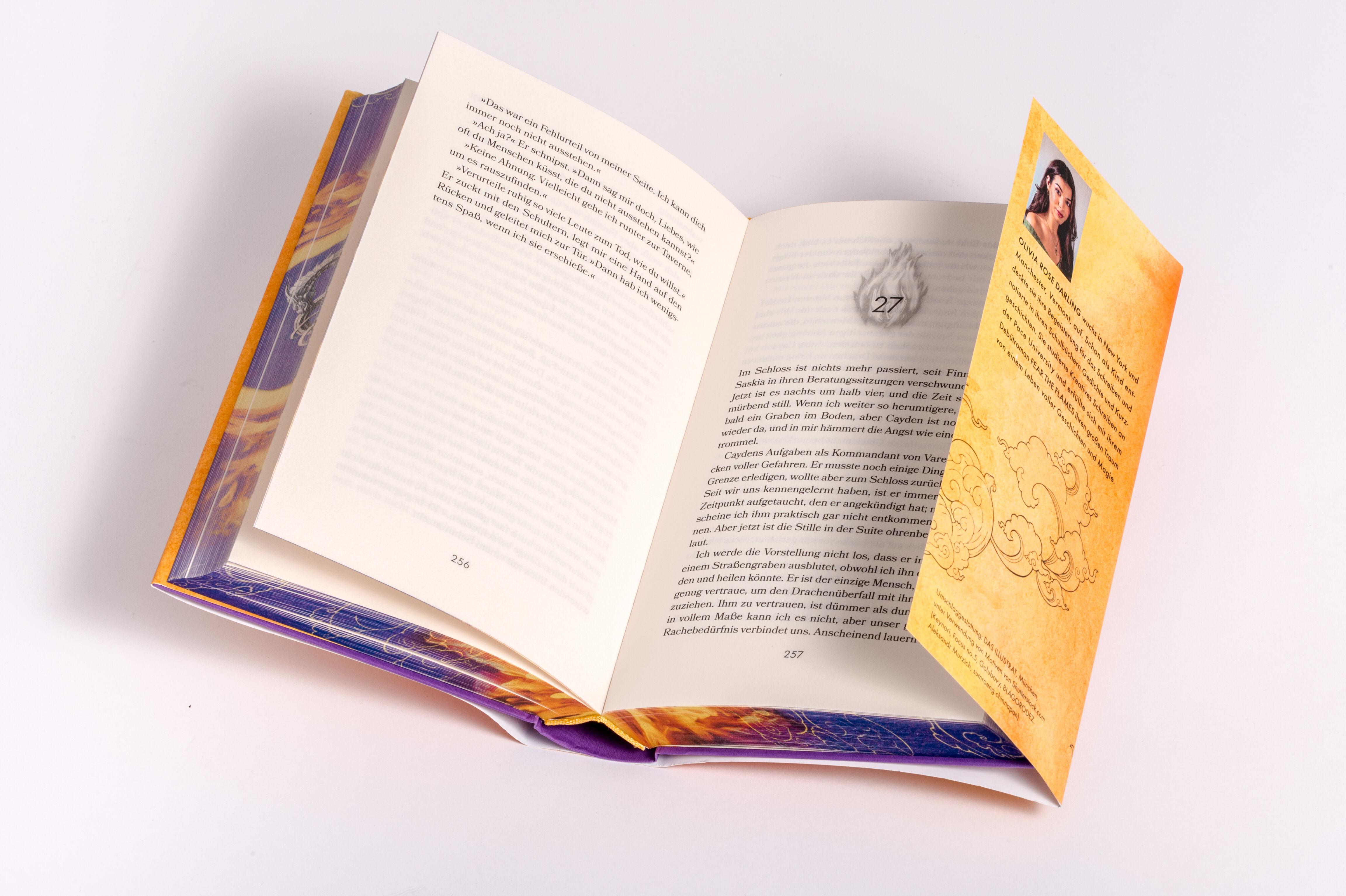 Beispielinhalt (Bild) Fear the Flames - Die Drachenkönigin