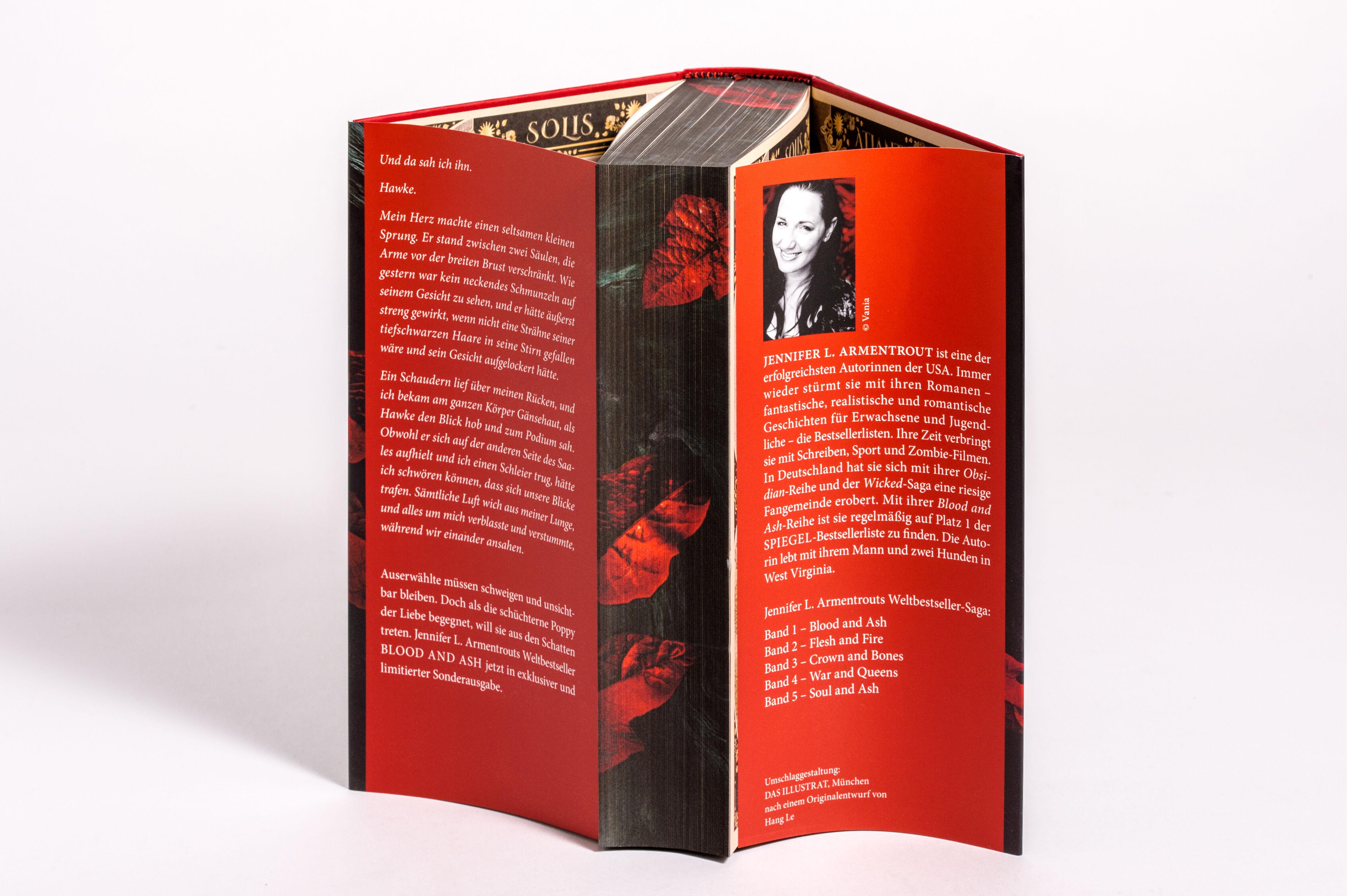 Beispielinhalt (Bild) Blood and Ash - Liebe kennt keine Grenzen