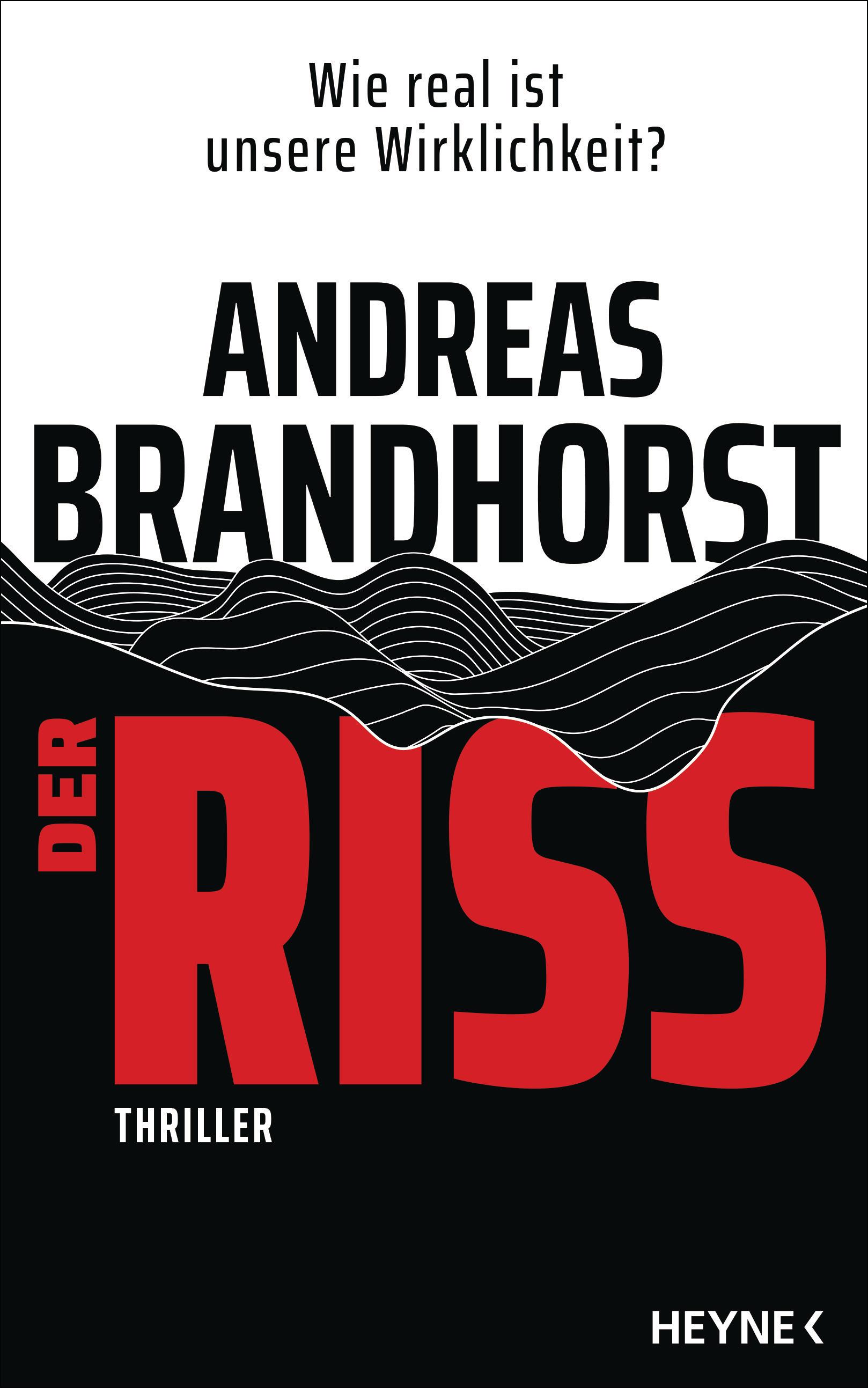 Vorderes Coverbild Der Riss