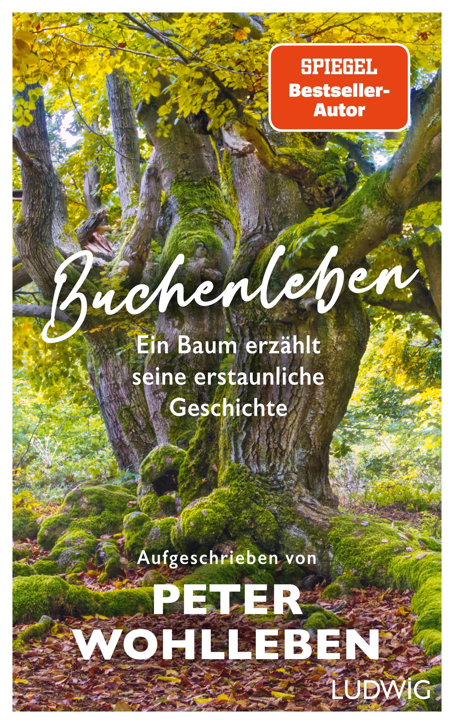 Vorderes Coverbild Buchenleben