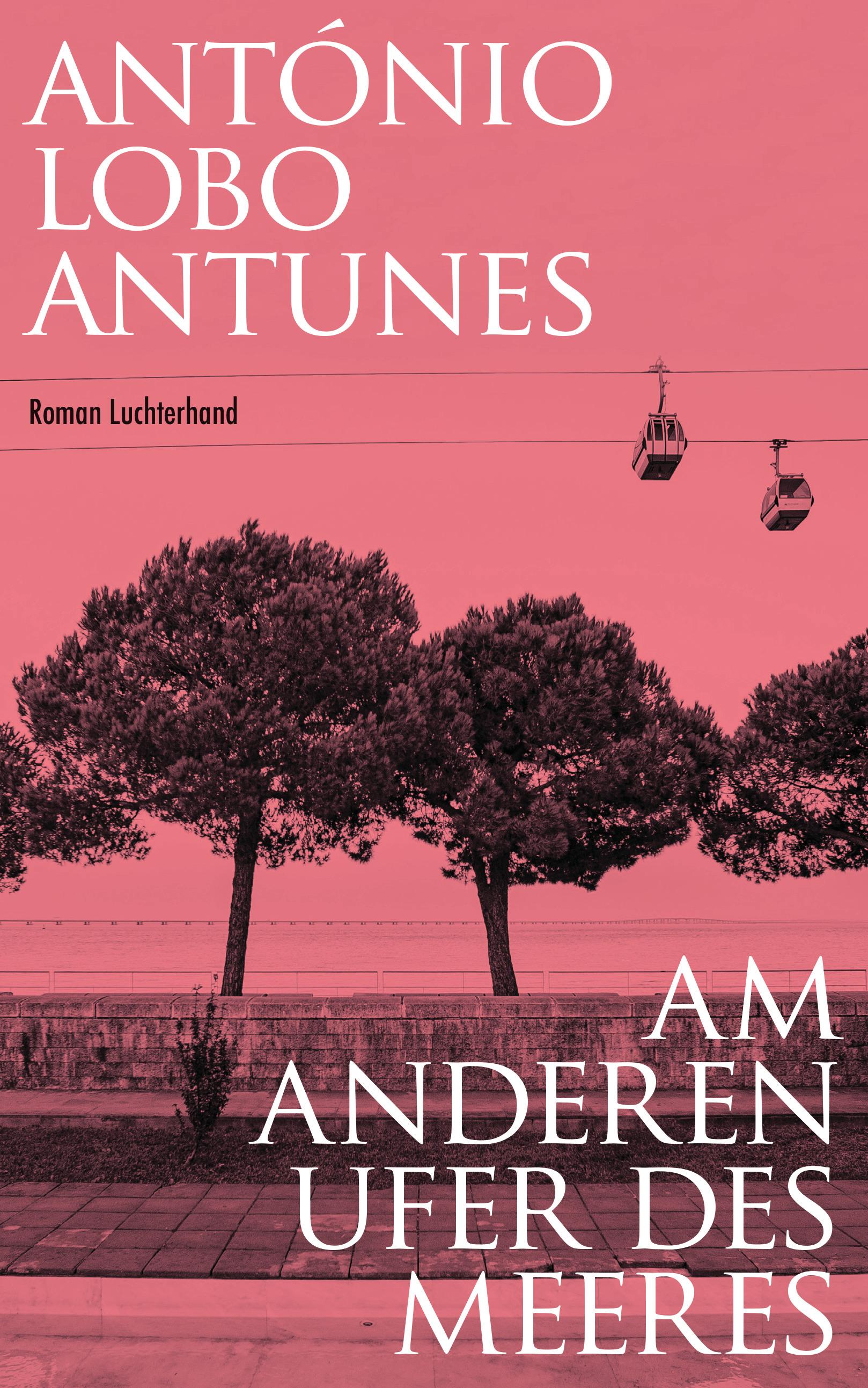 Vorderes Coverbild Am anderen Ufer des Meeres