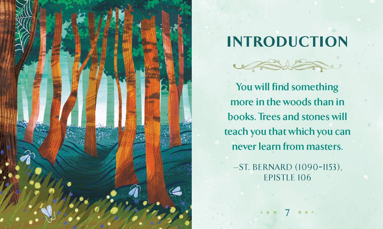 Beispielinhalt (Bild) Celtic Astrology