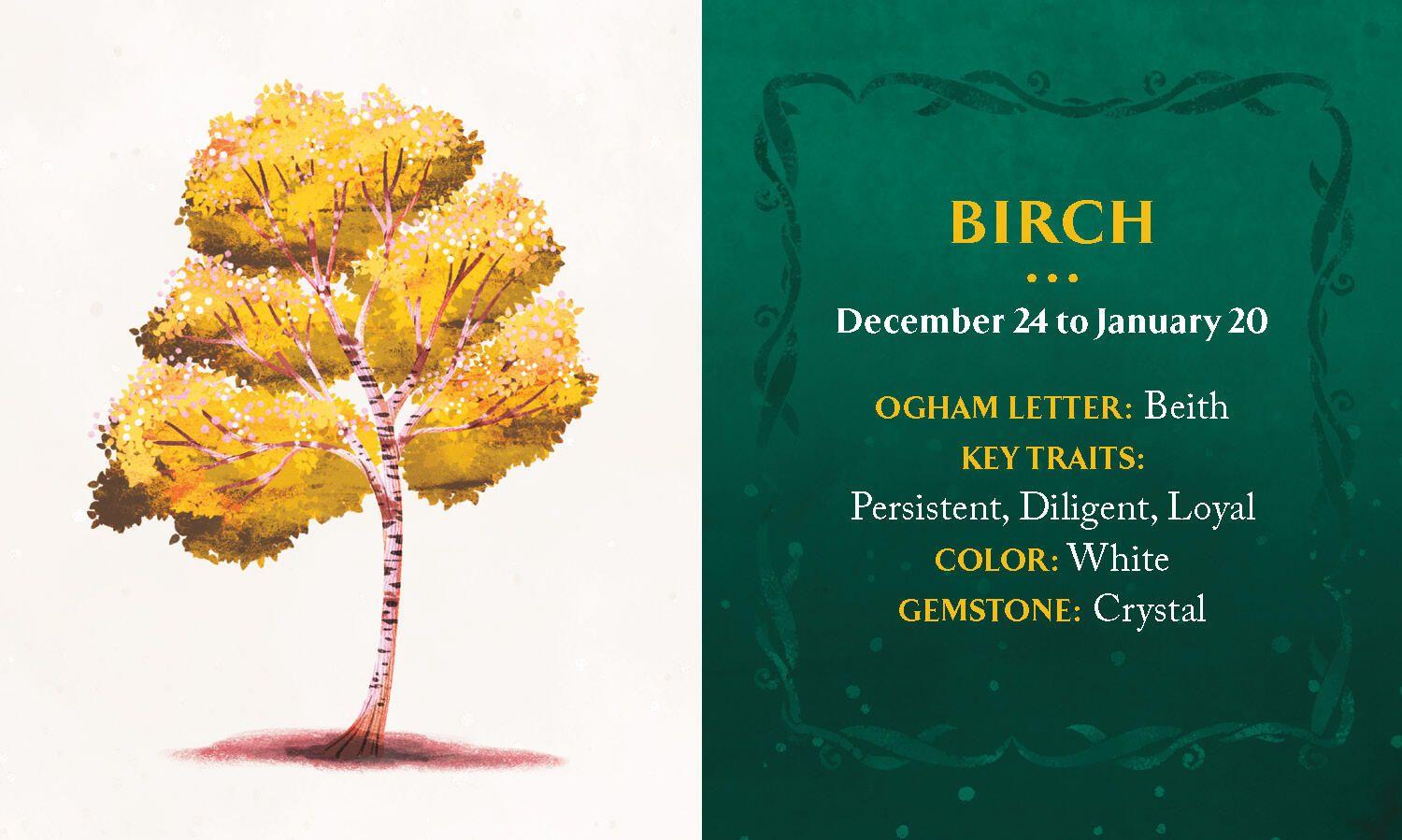 Beispielinhalt (Bild) Celtic Astrology