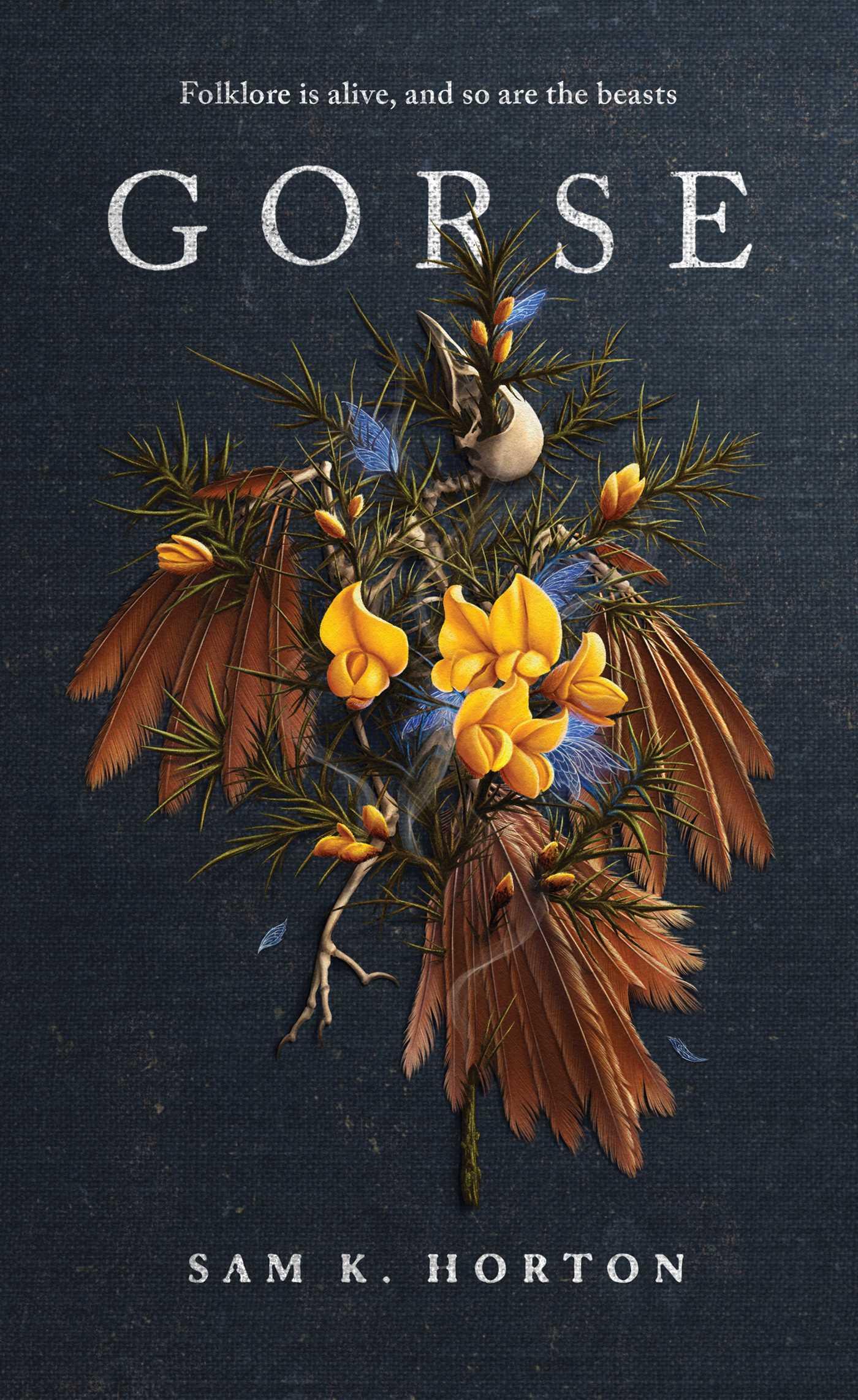 Vorderes Coverbild Gorse