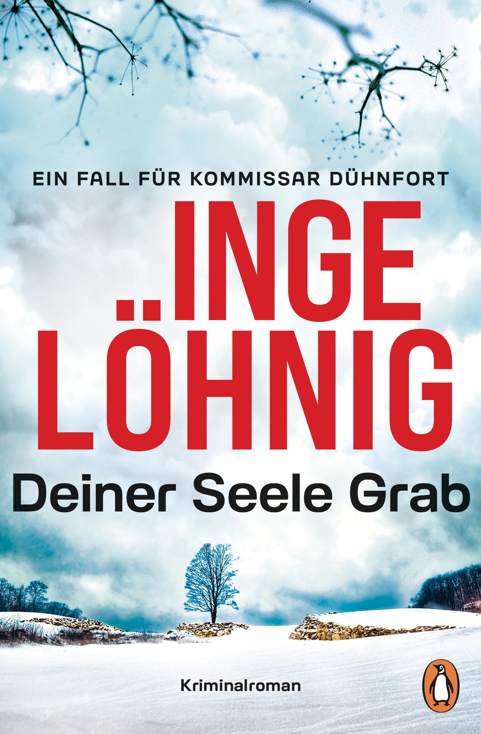 Vorderes Coverbild Deiner Seele Grab (Dühnfort 6)