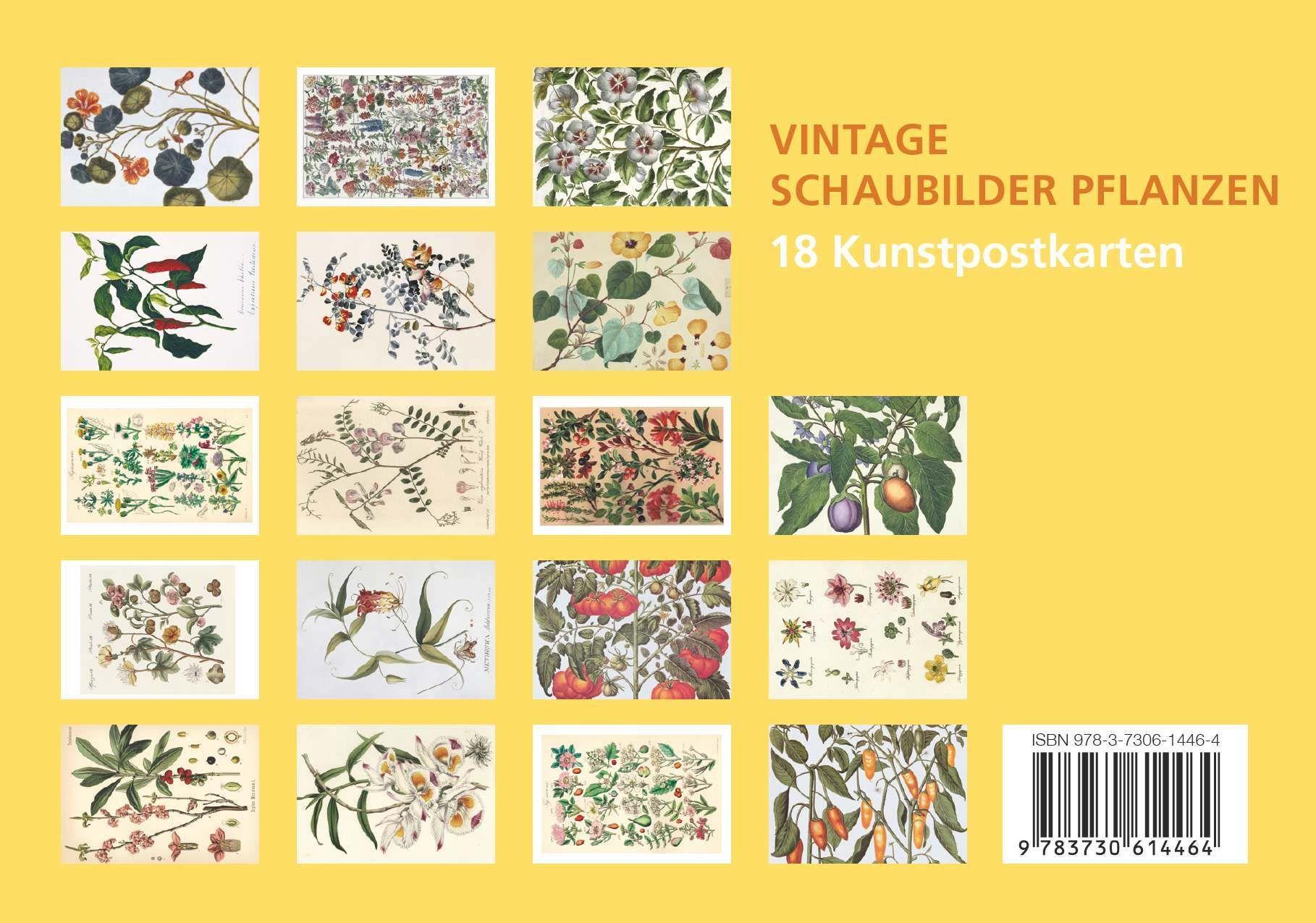 Beispielinhalt (Bild) Postkarten-Set Vintage-Schaubilder Pflanzen