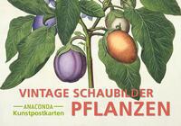 Vorderes Coverbild Postkarten-Set Vintage-Schaubilder Pflanzen