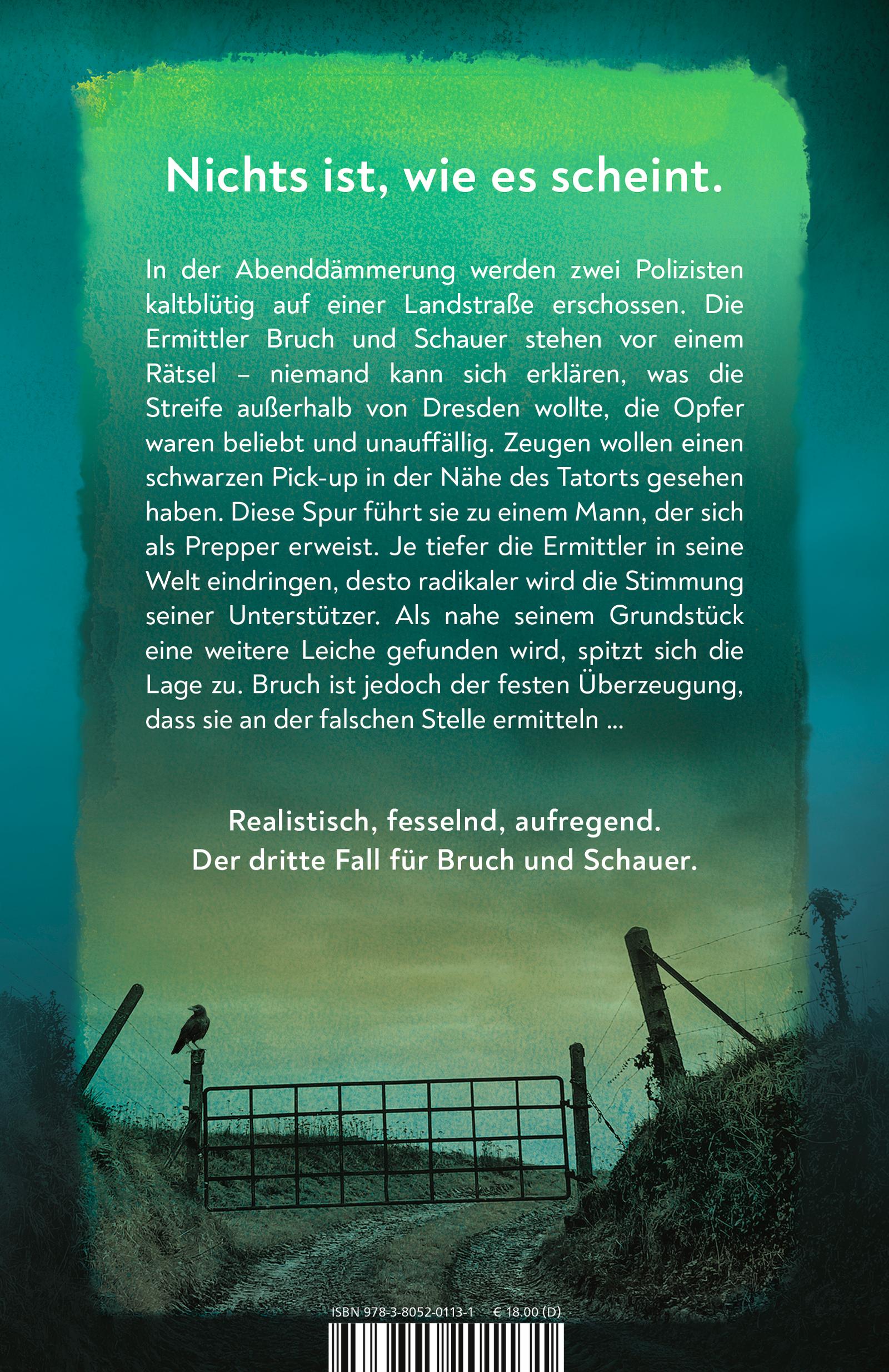 Rückseitencover Bruch: Durch finstere Zeiten