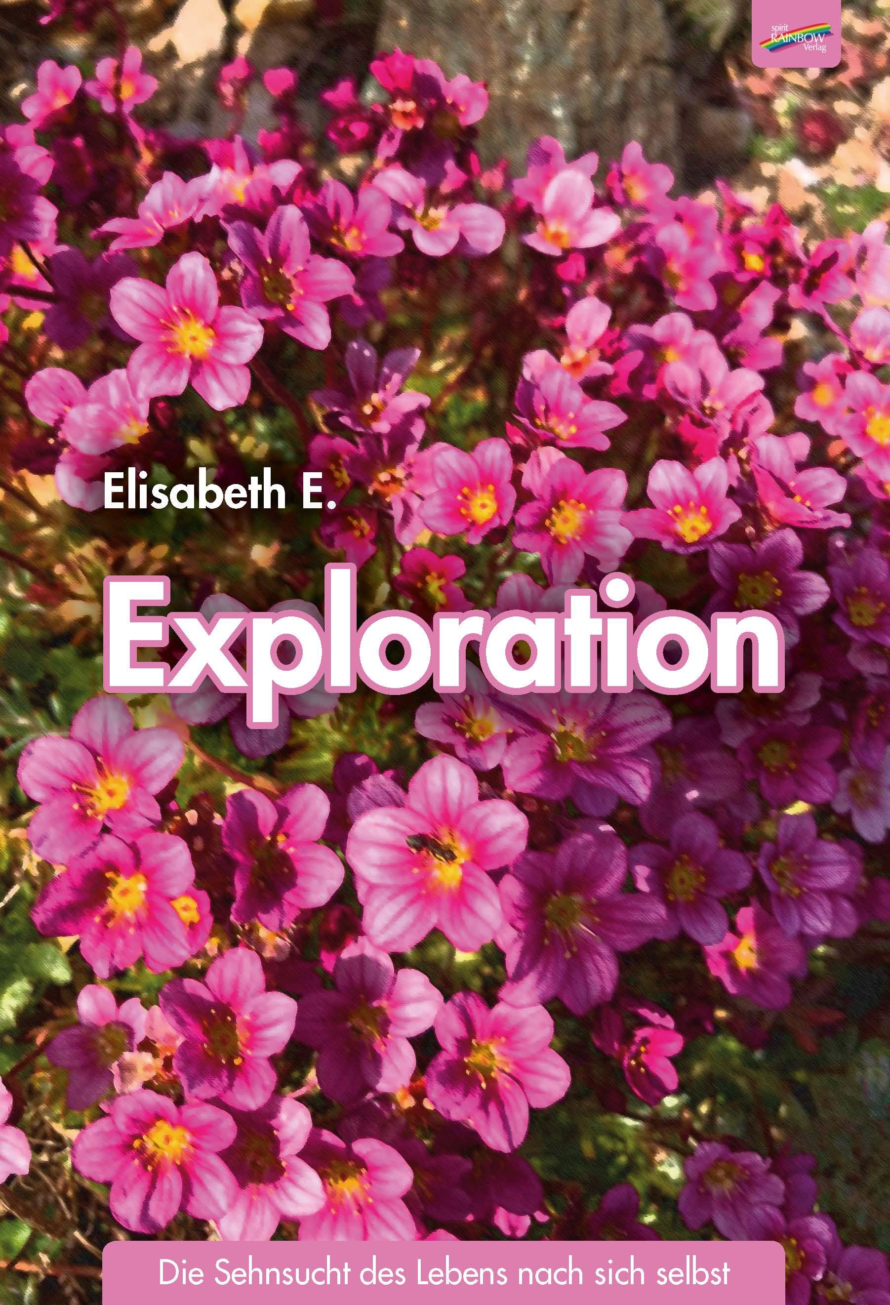 Vorderes Coverbild Exploration