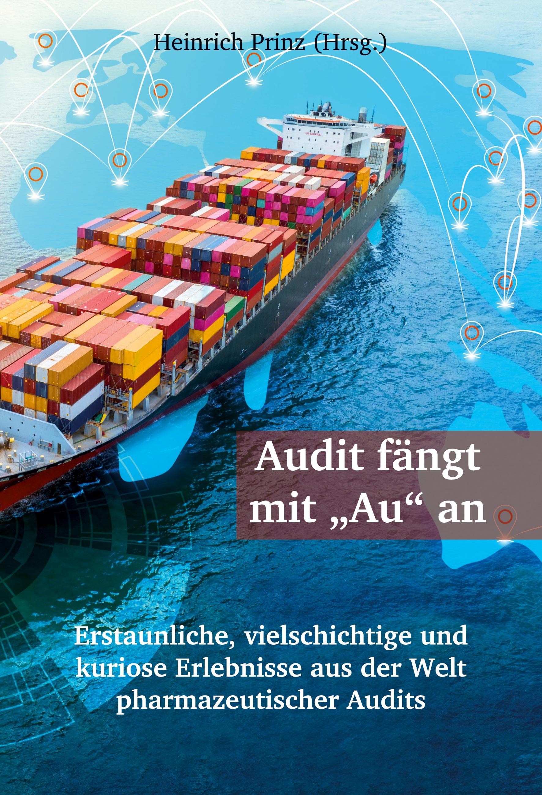 Vorderes Coverbild Audit fängt mit "Au" an