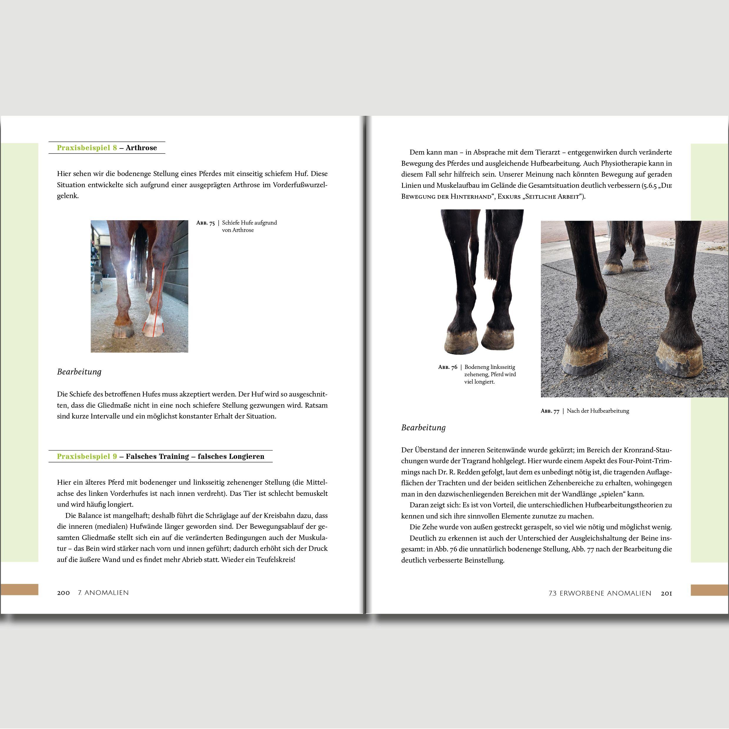 Beispielinhalt (Bild) Hufwerk