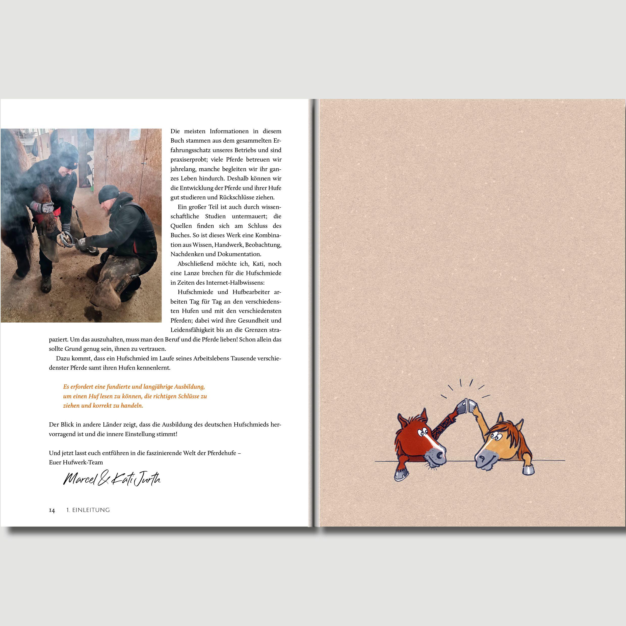 Beispielinhalt (Bild) Hufwerk