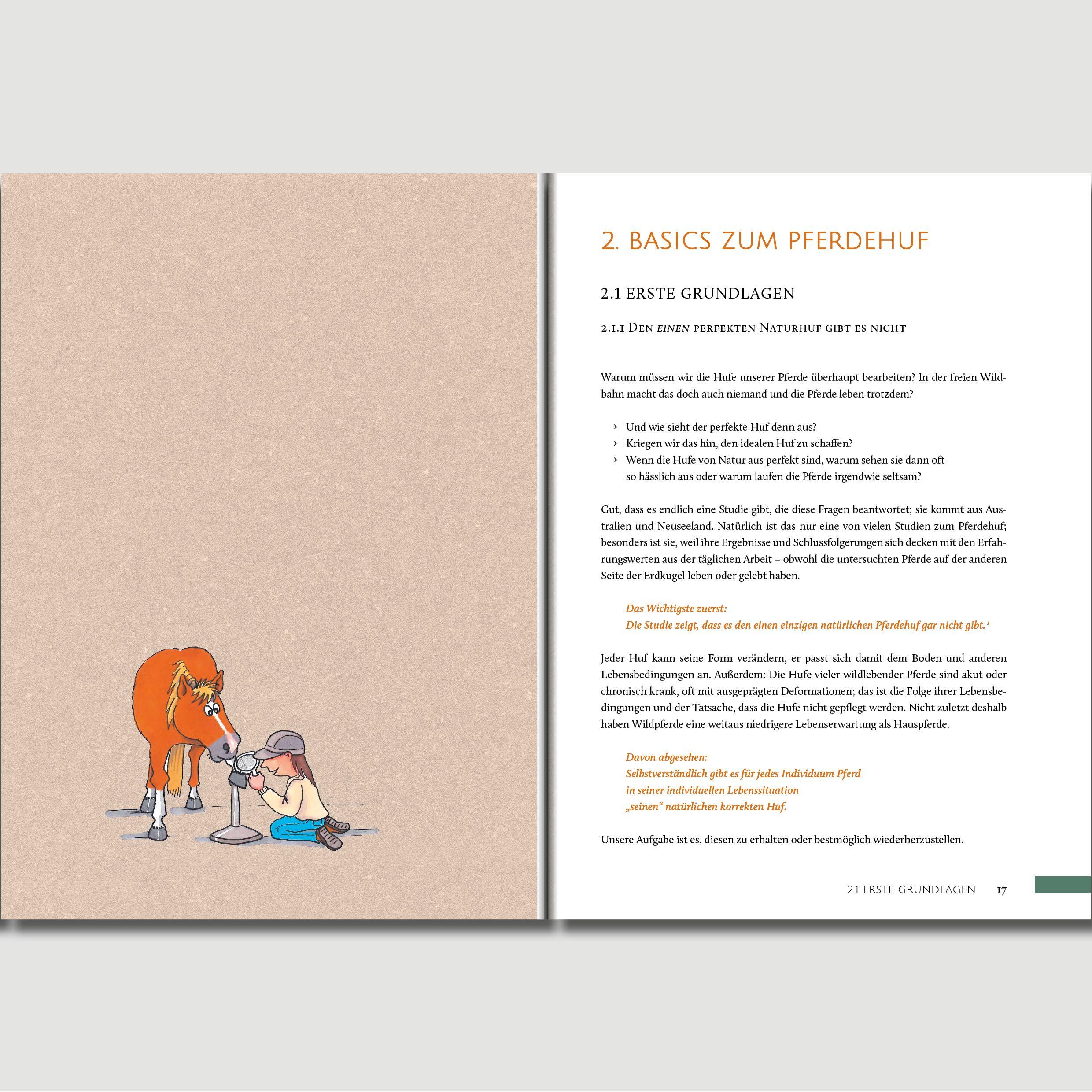 Beispielinhalt (Bild) Hufwerk