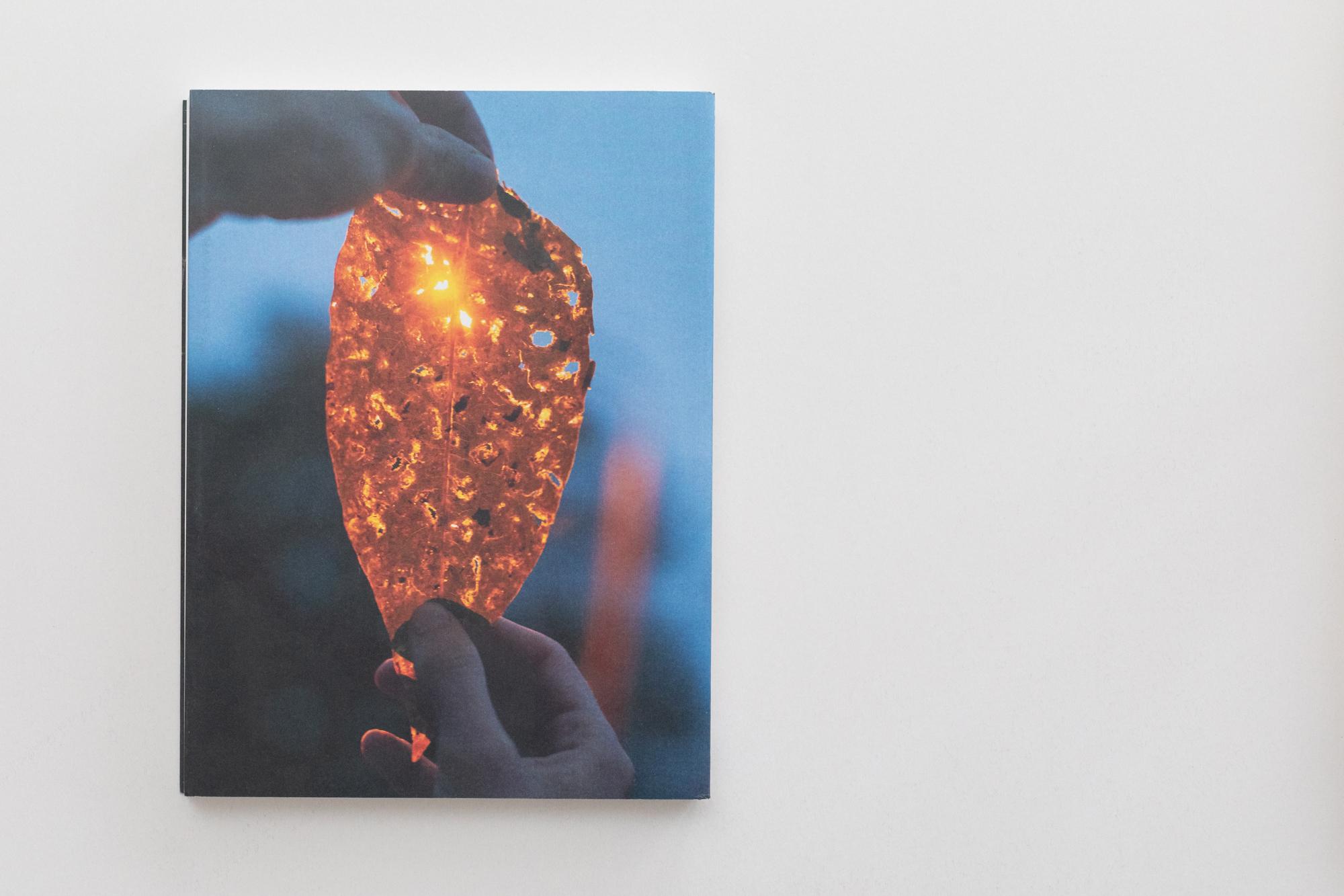 Beispielinhalt (Bild) Libby Heaney