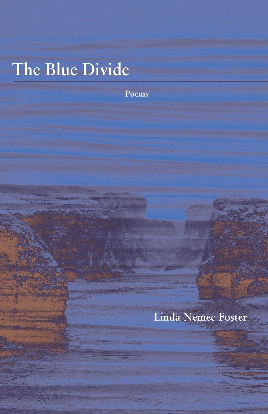 Vorderes Coverbild The Blue Divide
