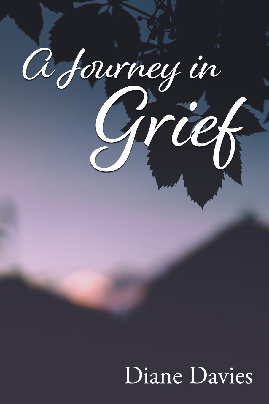 Vorderes Coverbild A Journey In Grief