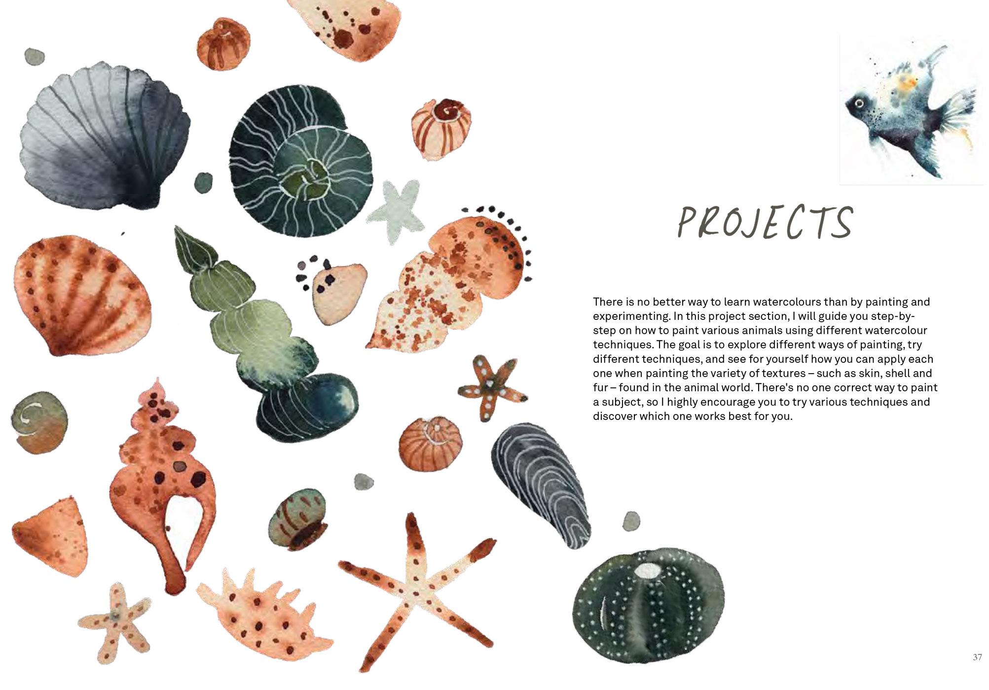 Beispielinhalt (Bild) Zurück zur Natur