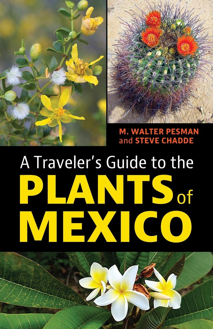 Vorderes Coverbild A Traveler's Guide to the Plants of Mexico