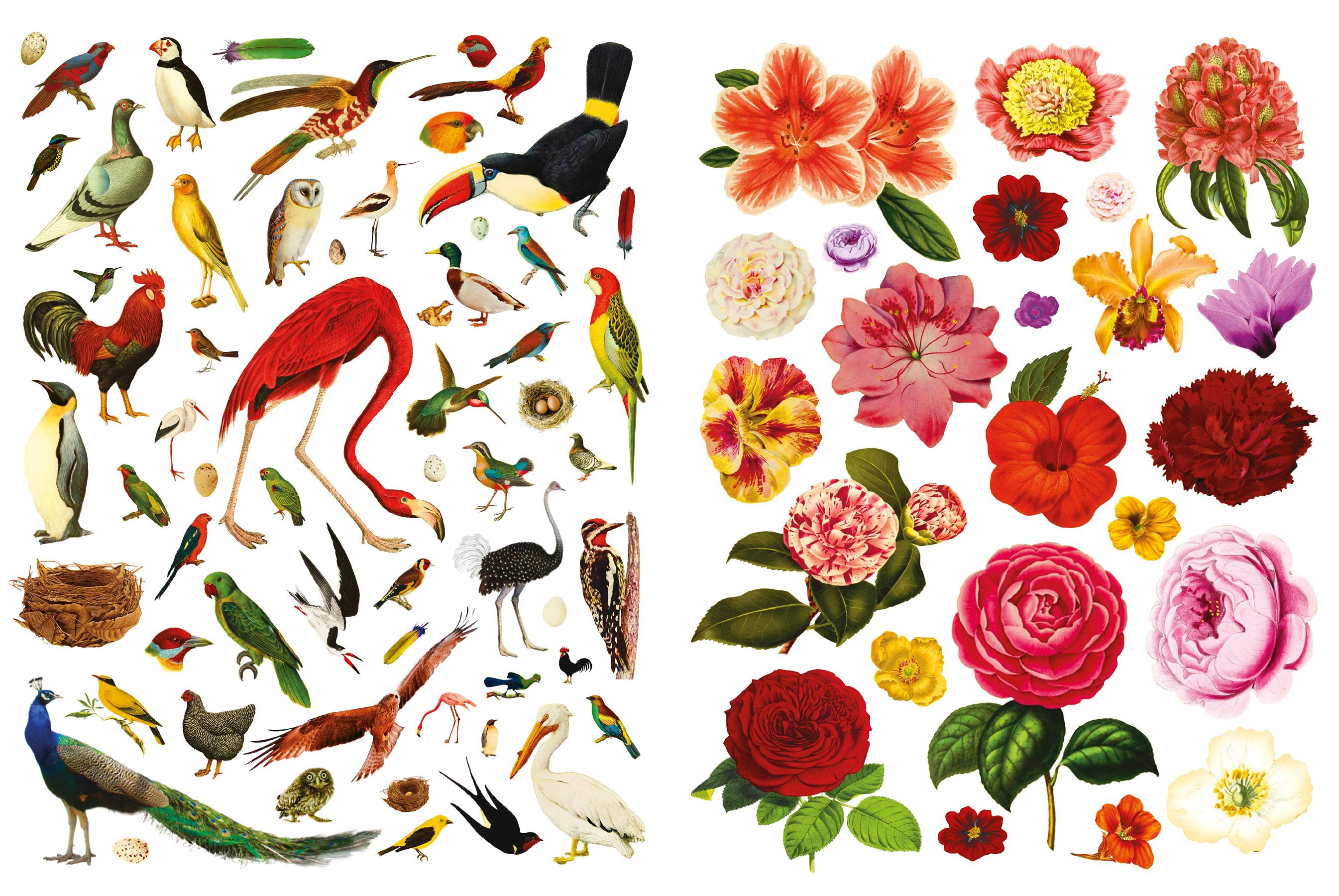 Beispielinhalt (Bild) Das unglaubliche Buch der Collagen