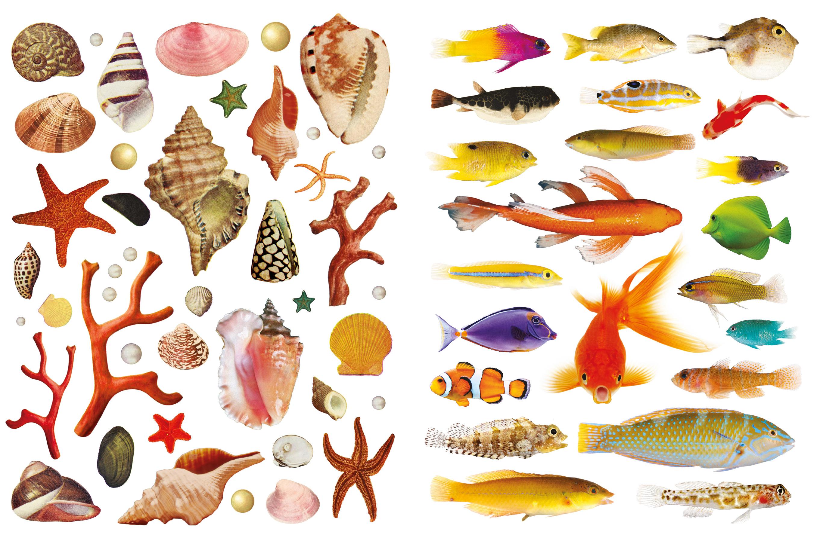 Beispielinhalt (Bild) Das unglaubliche Buch der Collagen