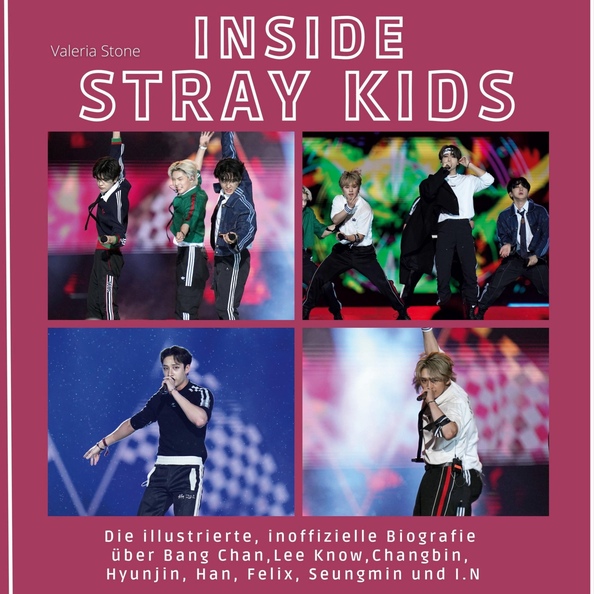 Vorderes Coverbild Inside <br> Stray Kids