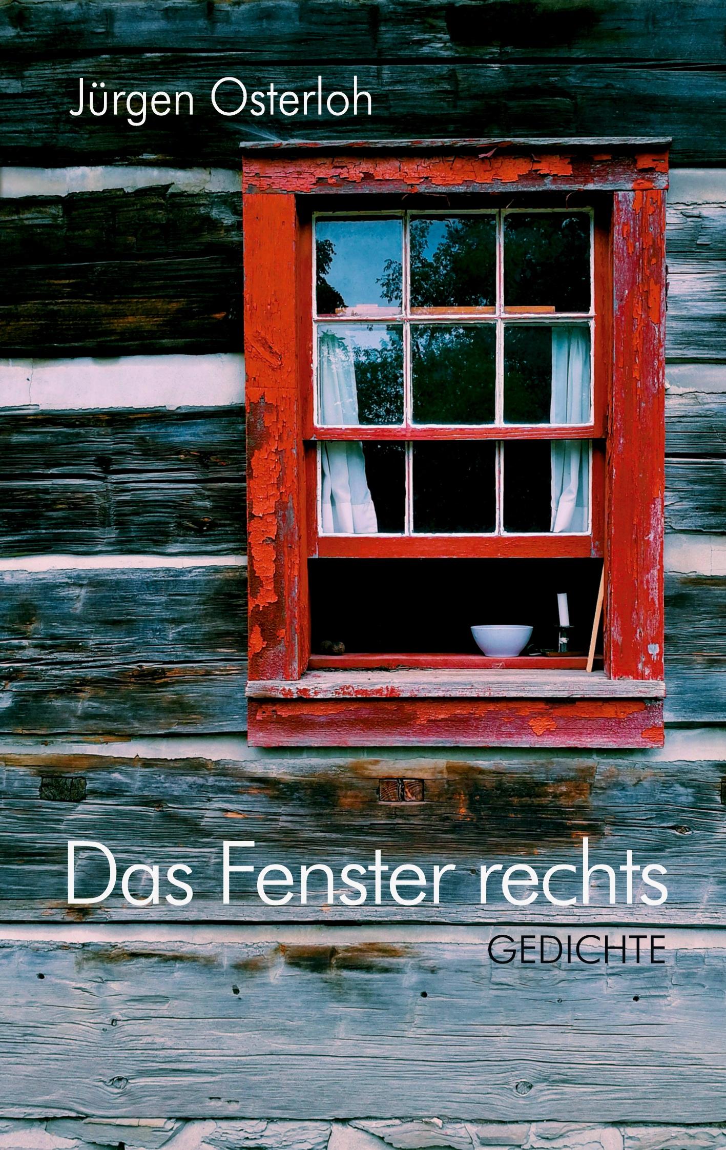 Vorderes Coverbild Das Fenster rechts