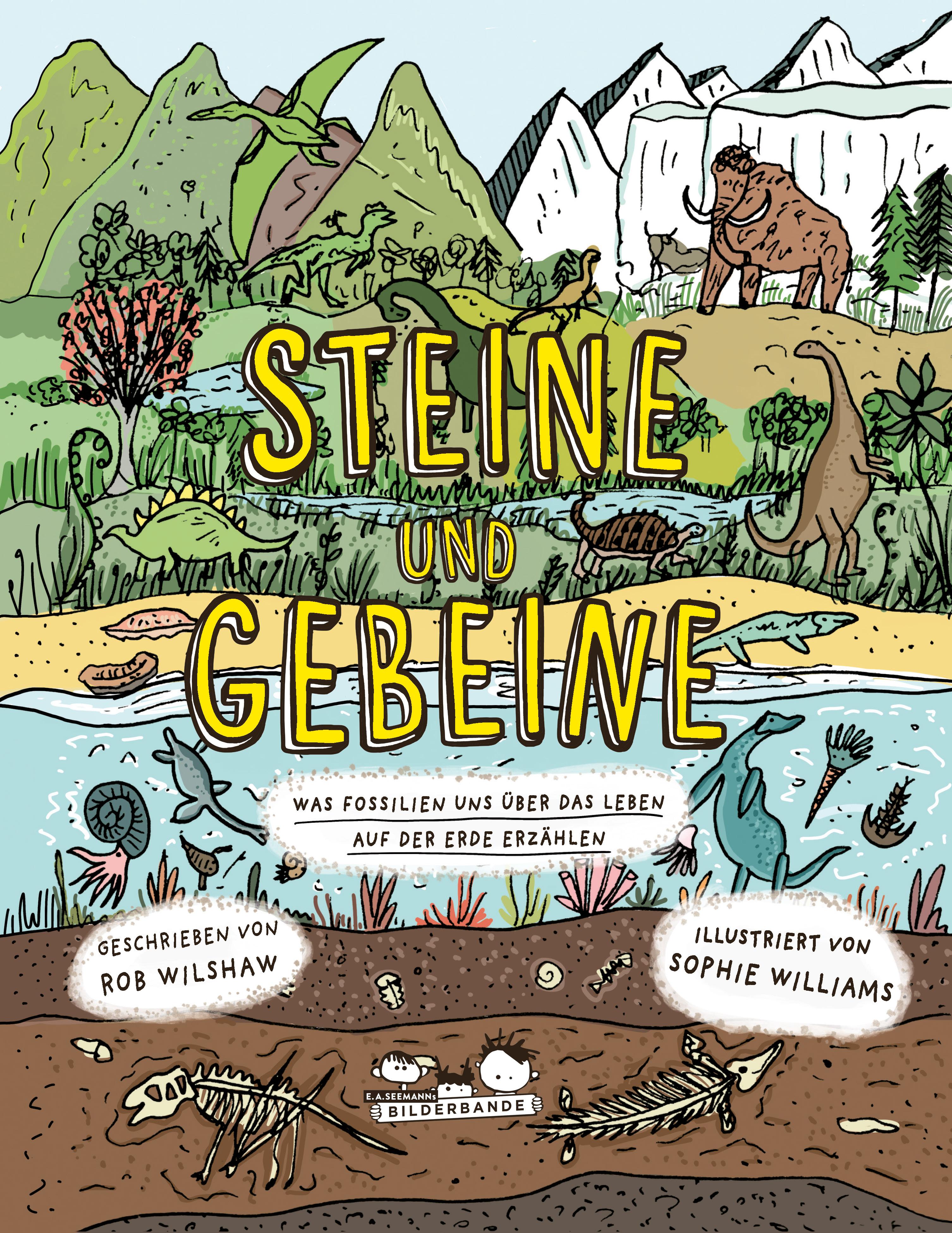 Vorderes Coverbild Steine und Gebeine