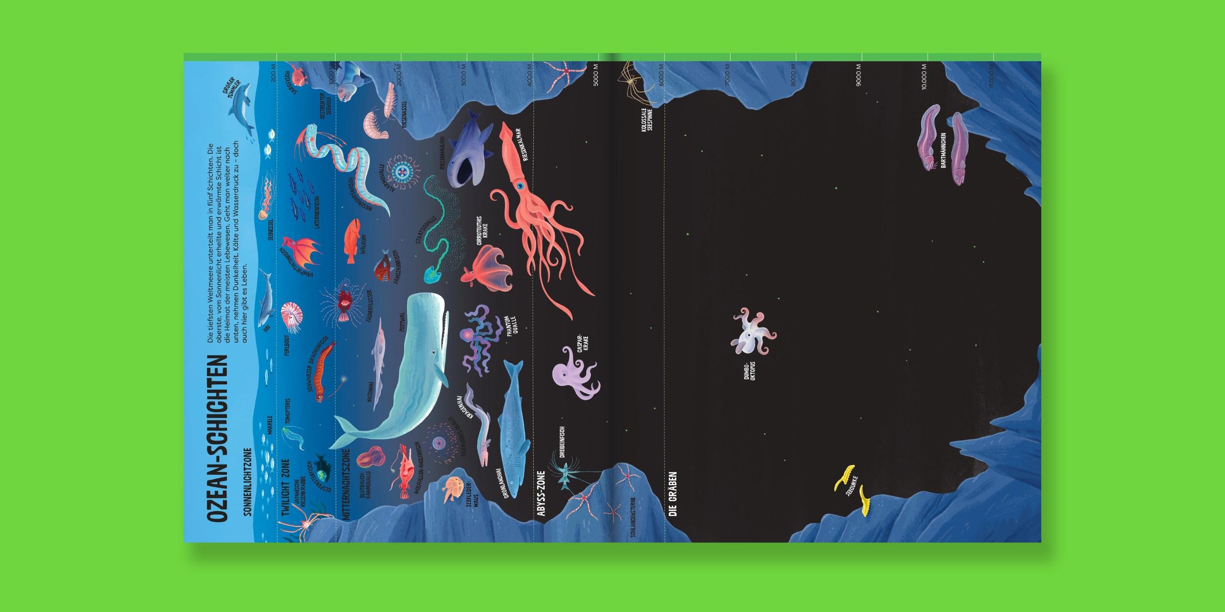 Beispielinhalt (Bild) Tiefsee-Monster