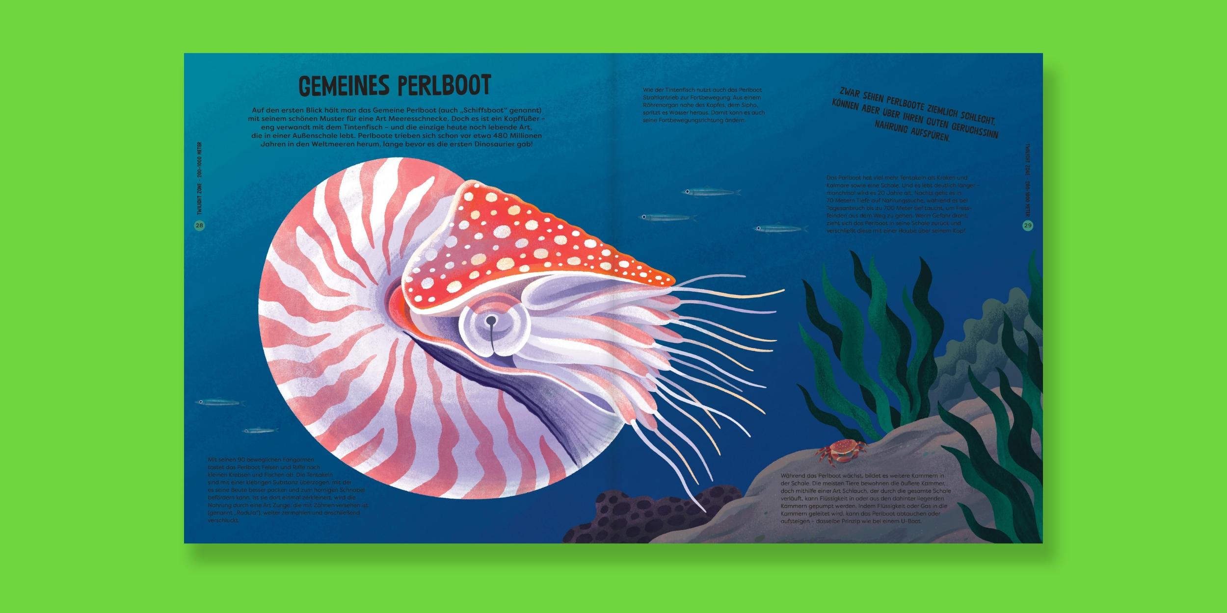 Beispielinhalt (Bild) Tiefsee-Monster